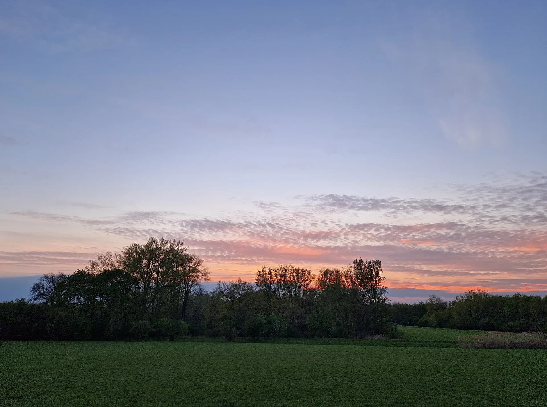 Abendrot über den Feldern am Kornsand bei Trebur