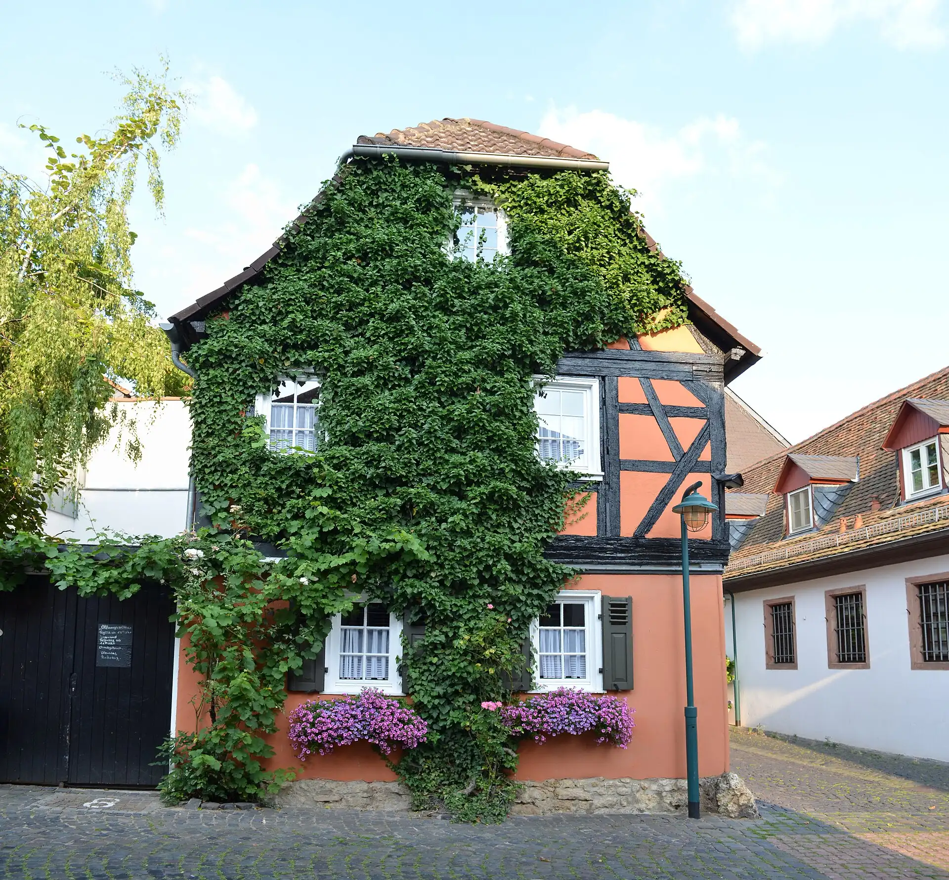 Efeubewachsenes Haus in der Aichgasse 8 in Hochheim am Main