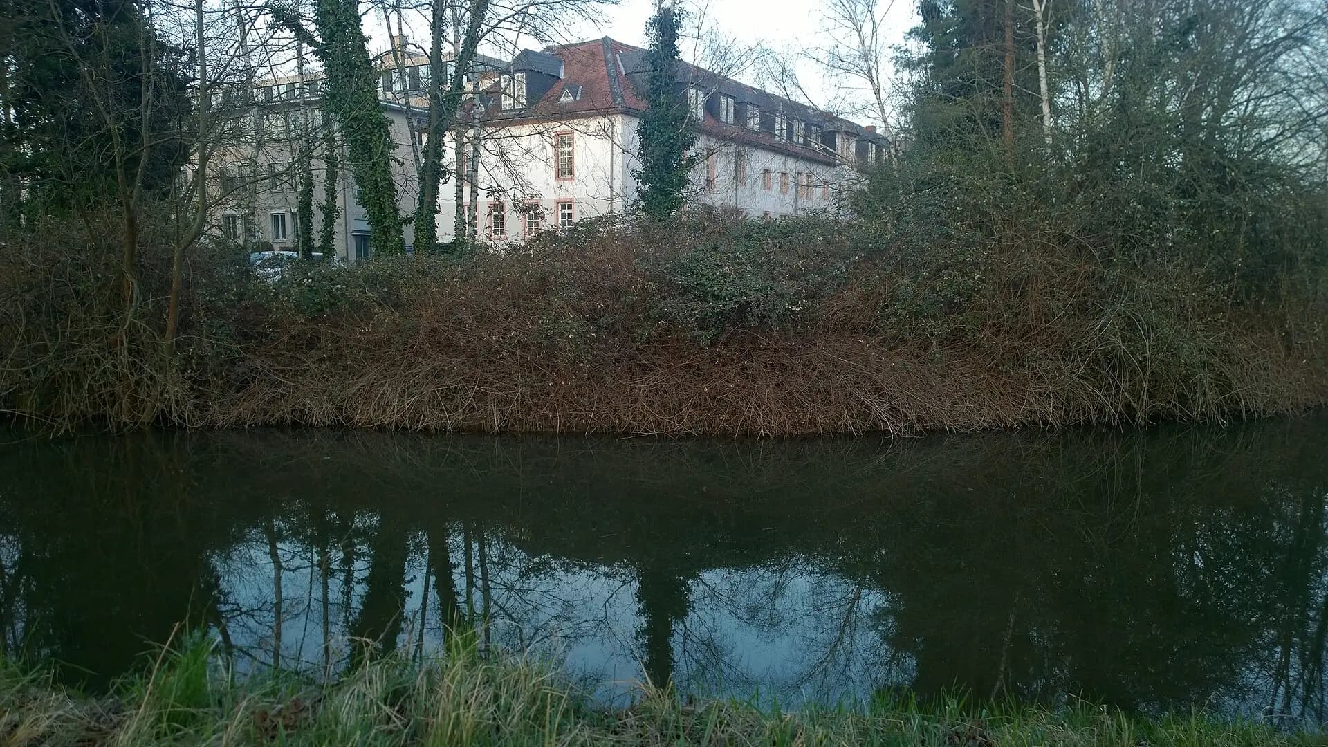 Albinischloss über dem Weiher in Dieburg