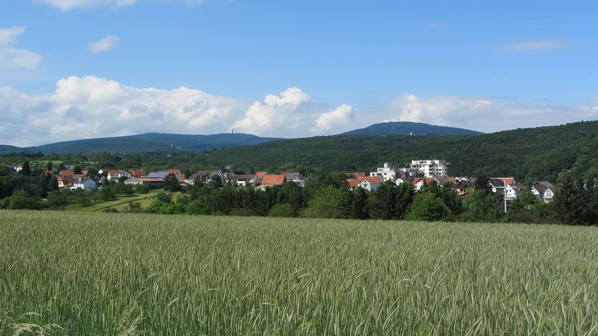 Panorama des Stadtteils Altenhain in Bad Soden am Taunus