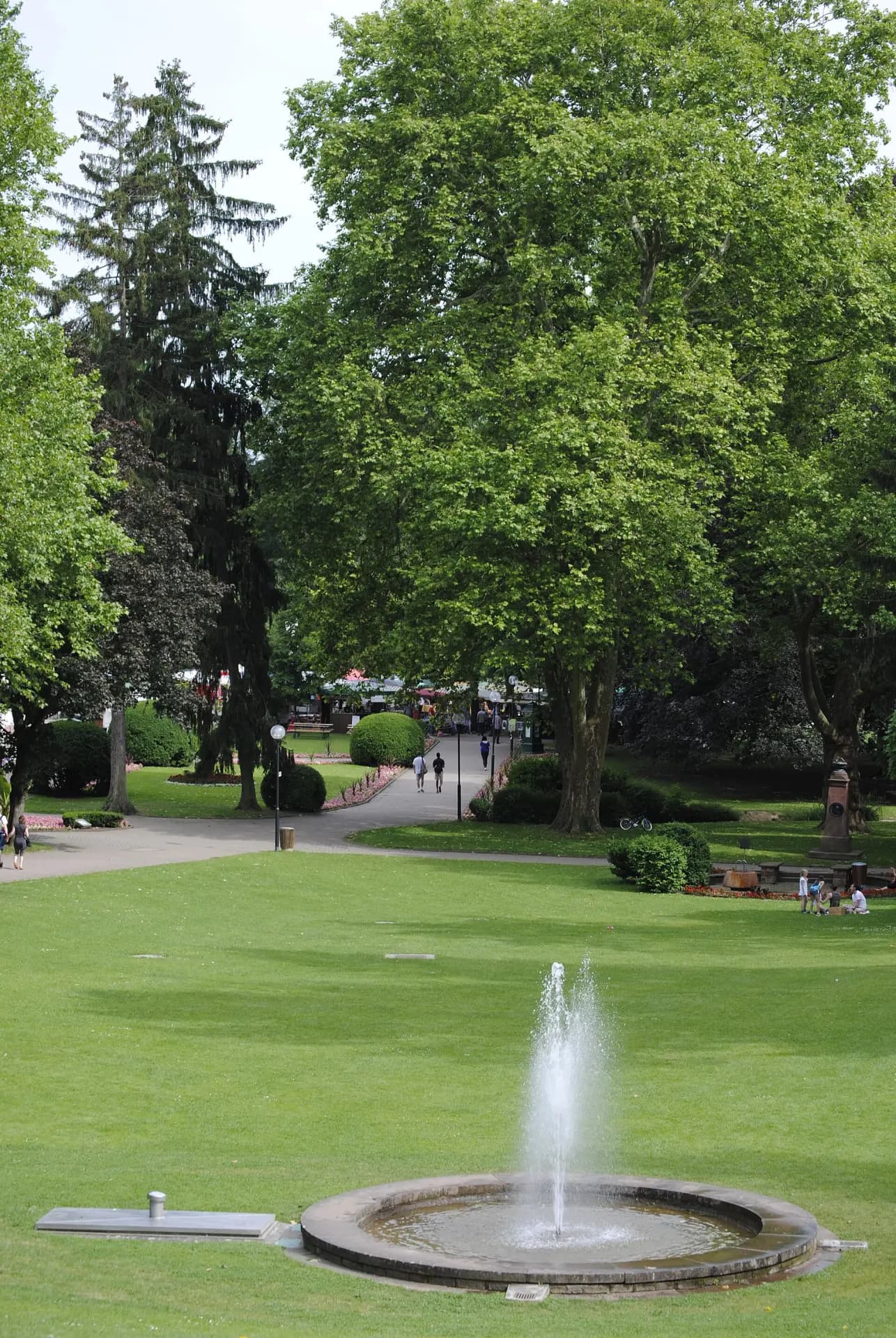 Alter Kurpark mit Fontäne im Sommer in Bad Soden am Taunus