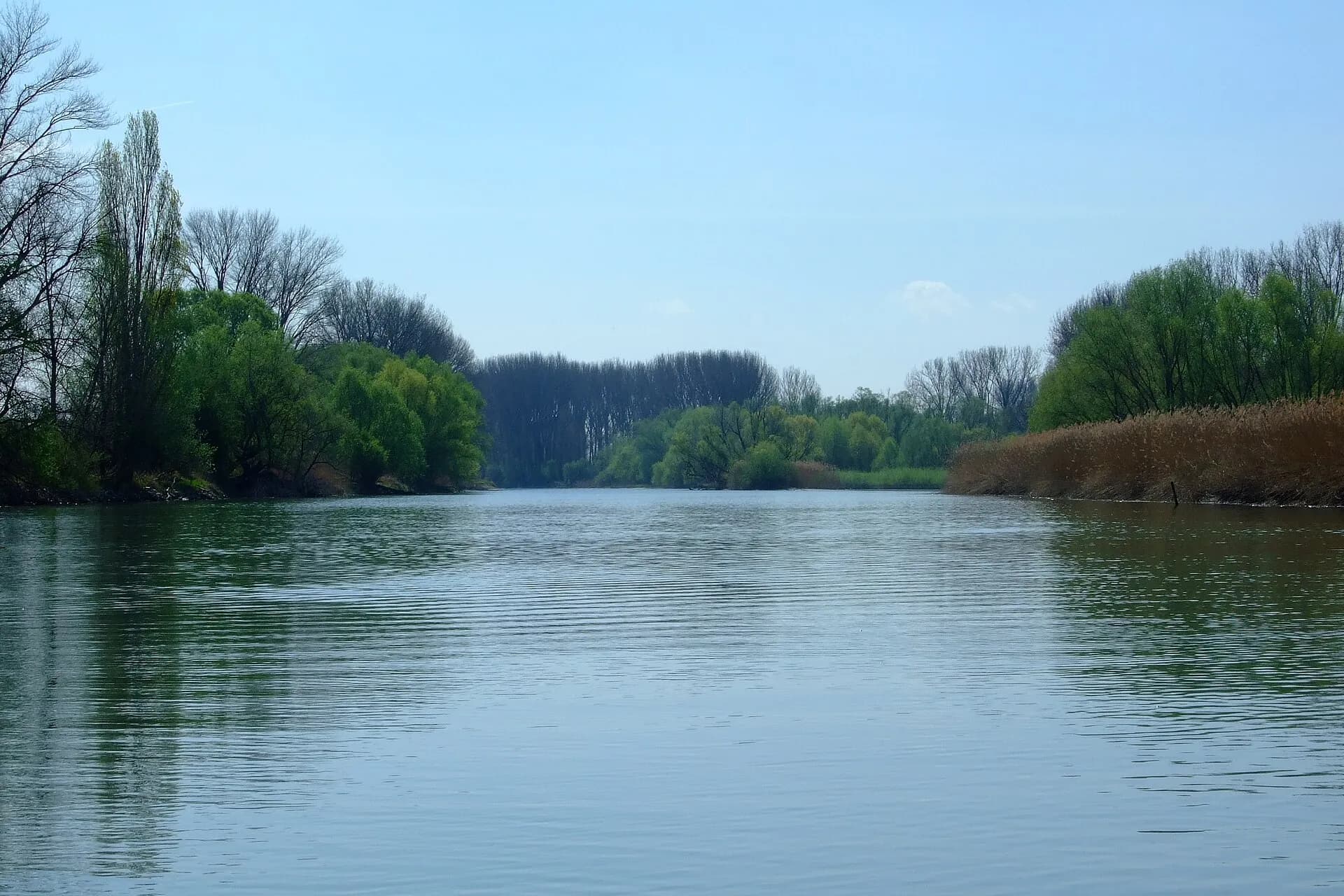 Insel im Ginsheimer Altrhein