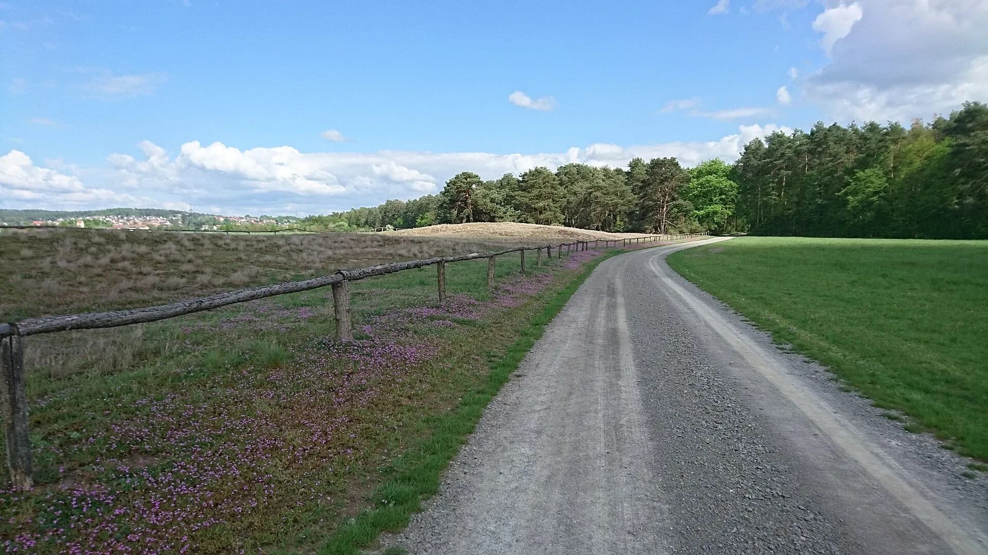 Weg durch das Landschaftsschutzgebiet Alzenauer Sande
