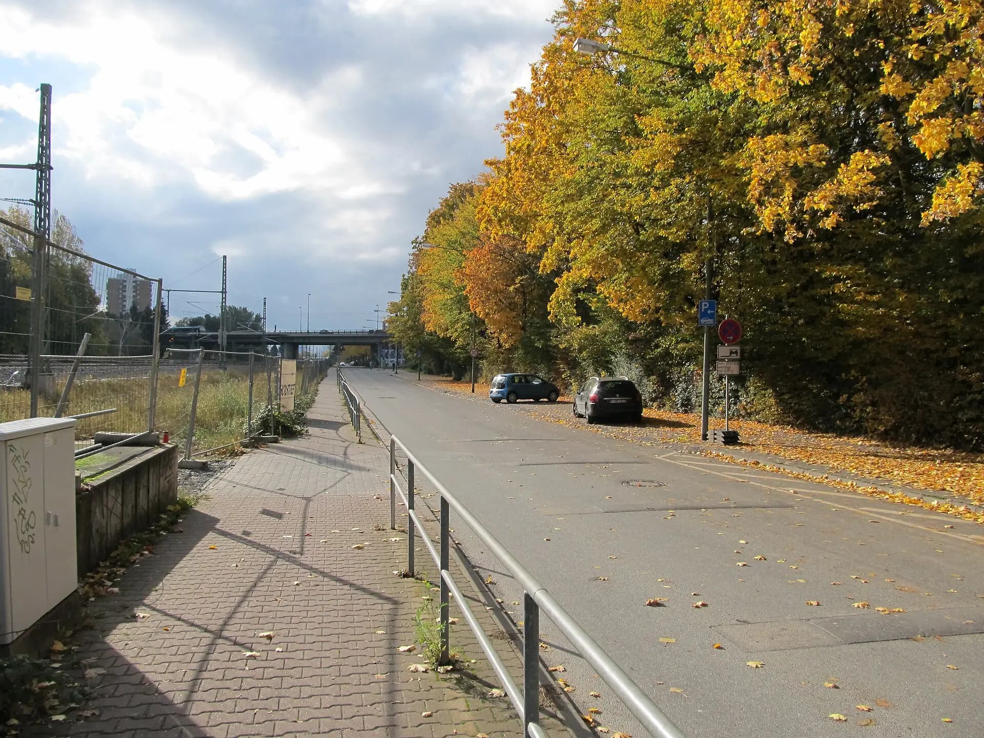 Straße Am Ginnheimer Wäldchen im Herbst in Frankfurt Ginnheim