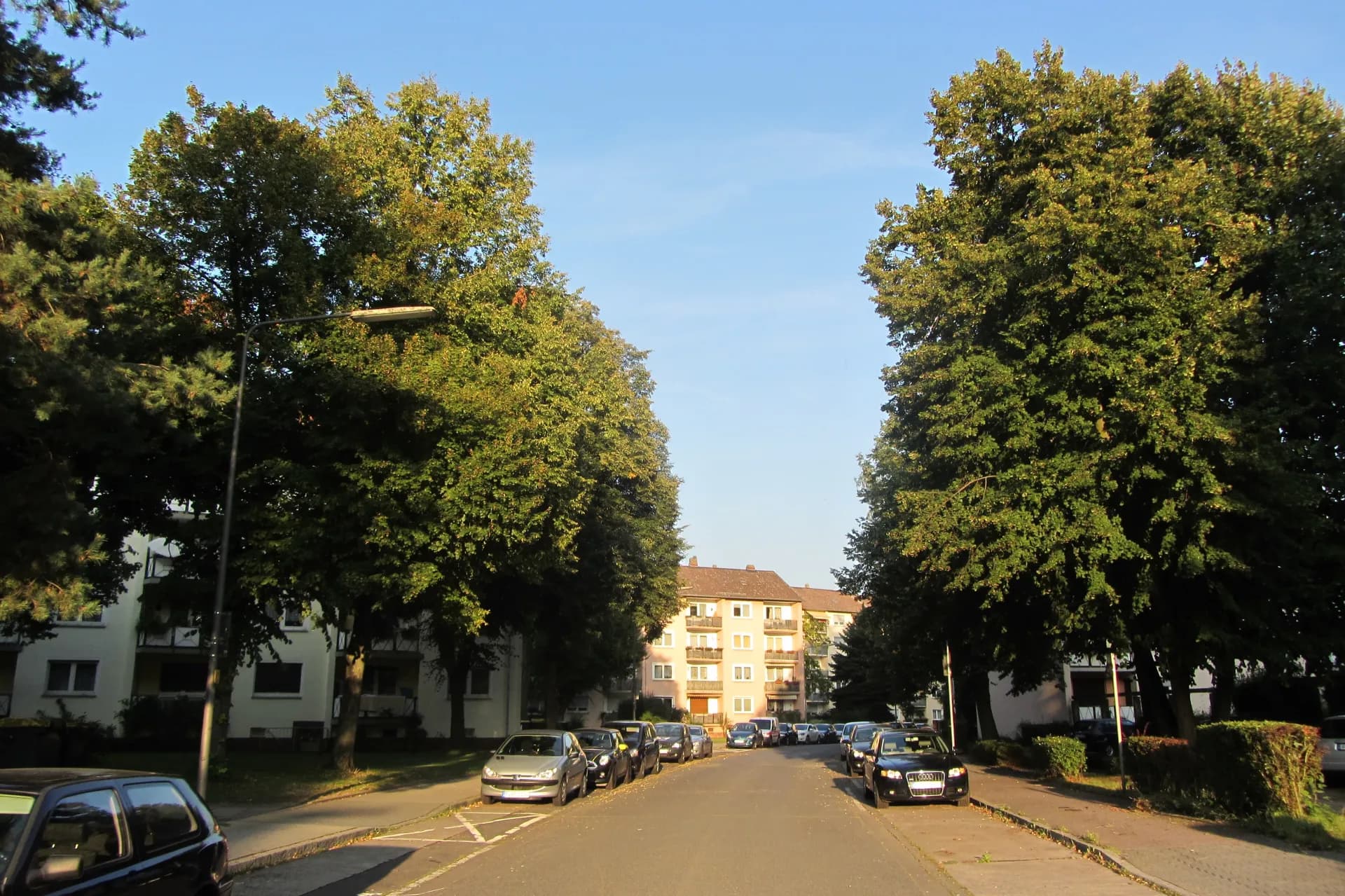 Straße in der Anne-Frank-Siedlung in Frankfurt Eschersheim