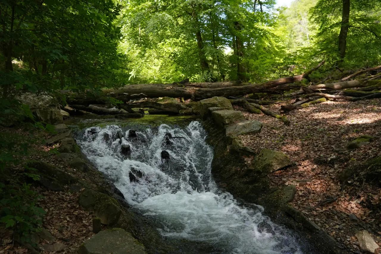 Oberursel (Taunus) Impression