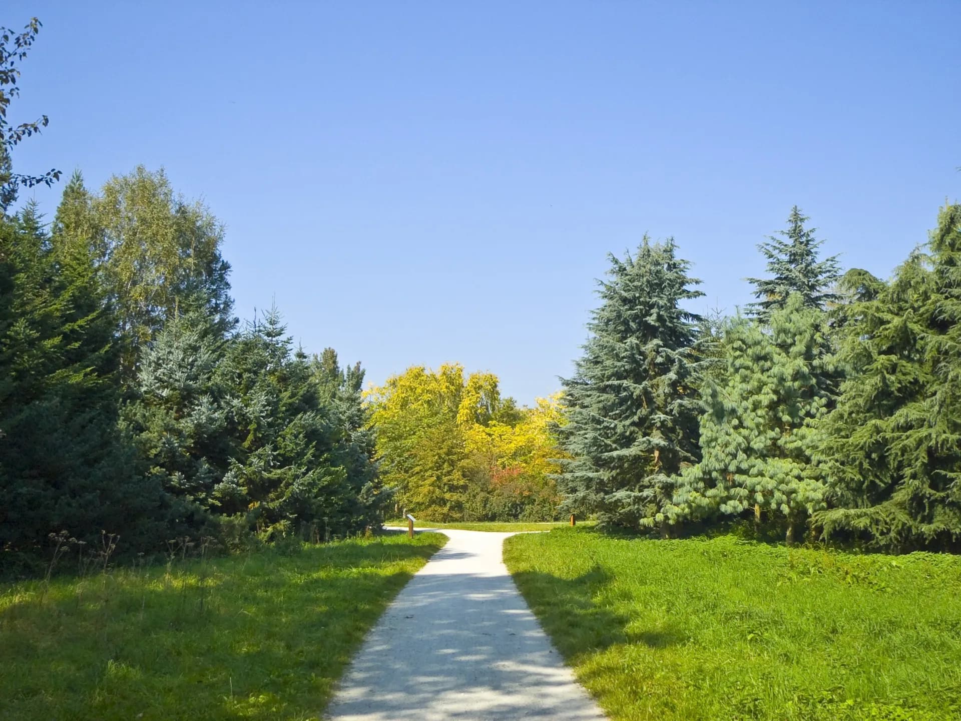 Arboretum Main-Taunus bei Sulzbach