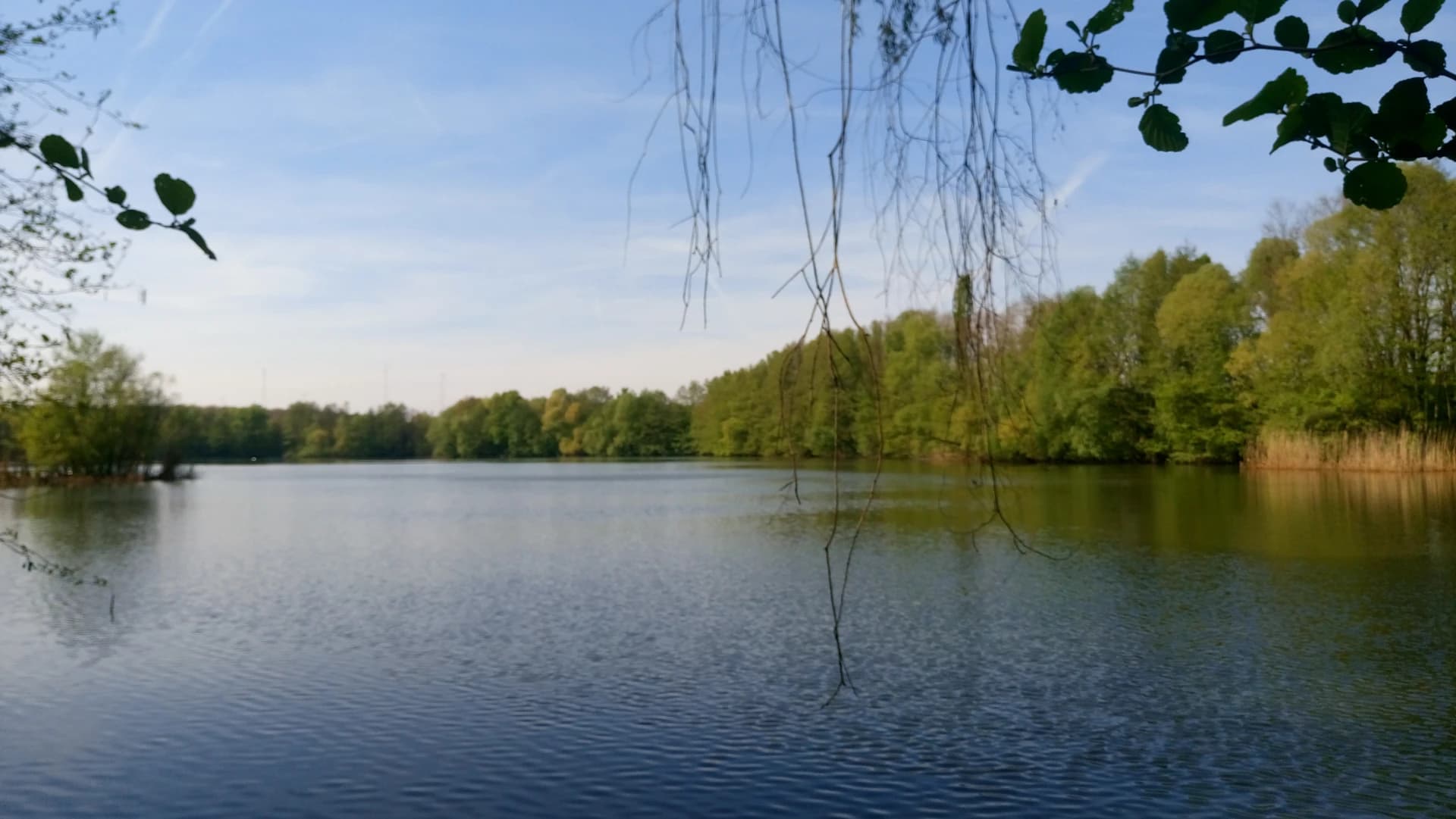Stockstädter Baggersee in Stockstadt am Main