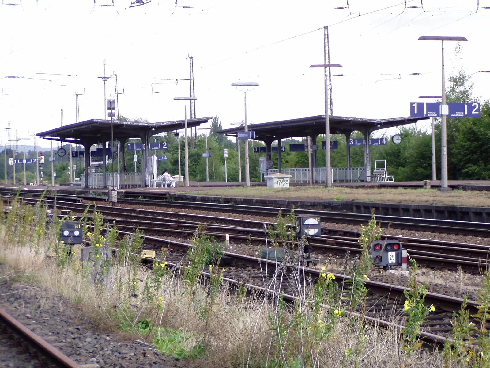Gleisanlage am Bahnhof in Babenhausen