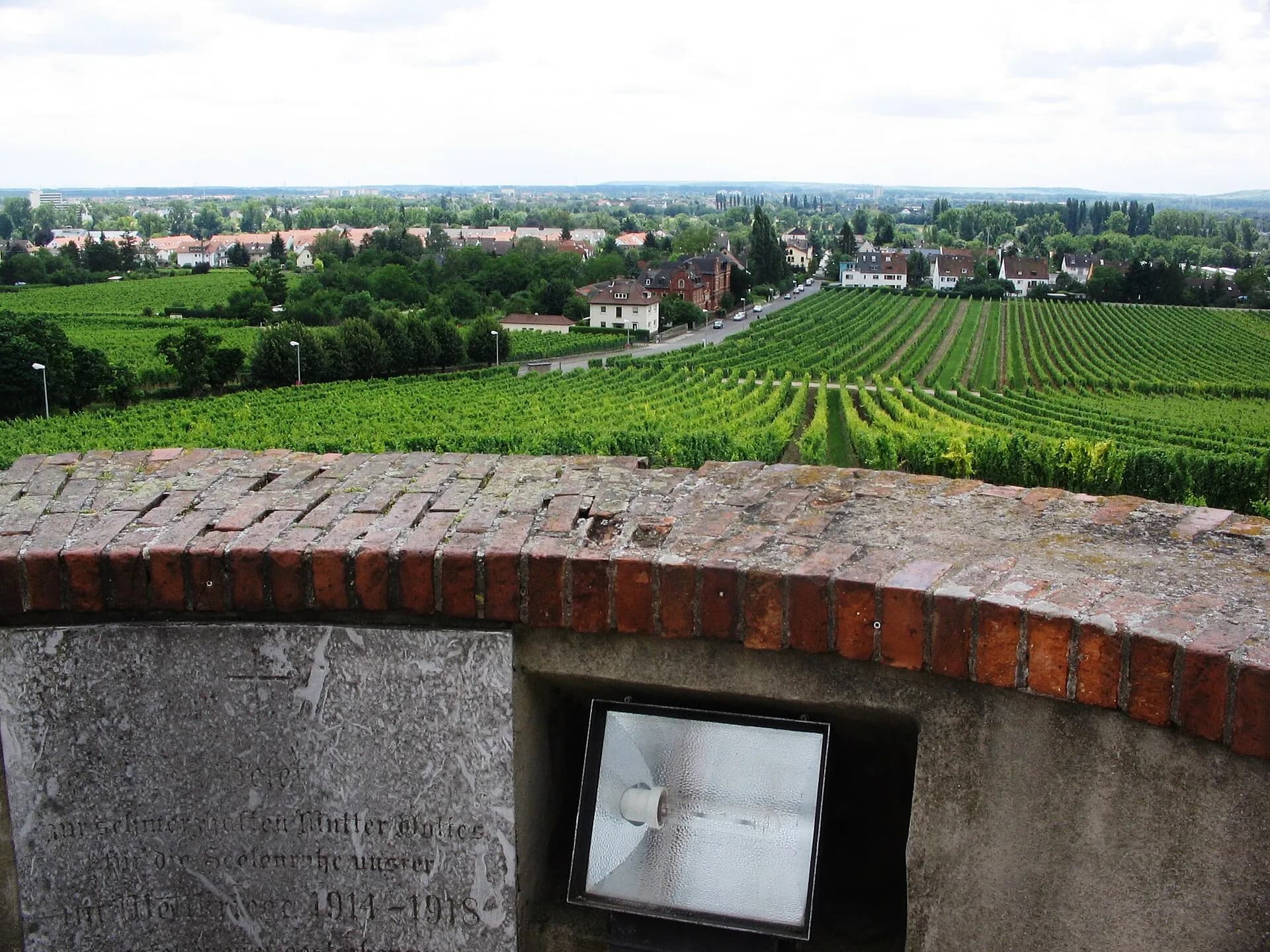 Aussicht vom Belvedere über die Weinberge nach Süden in Hochheim am Main