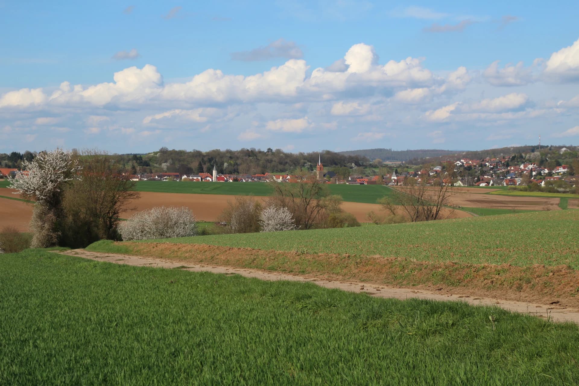 Blick über die Felder auf Marköbel in Hammersbach