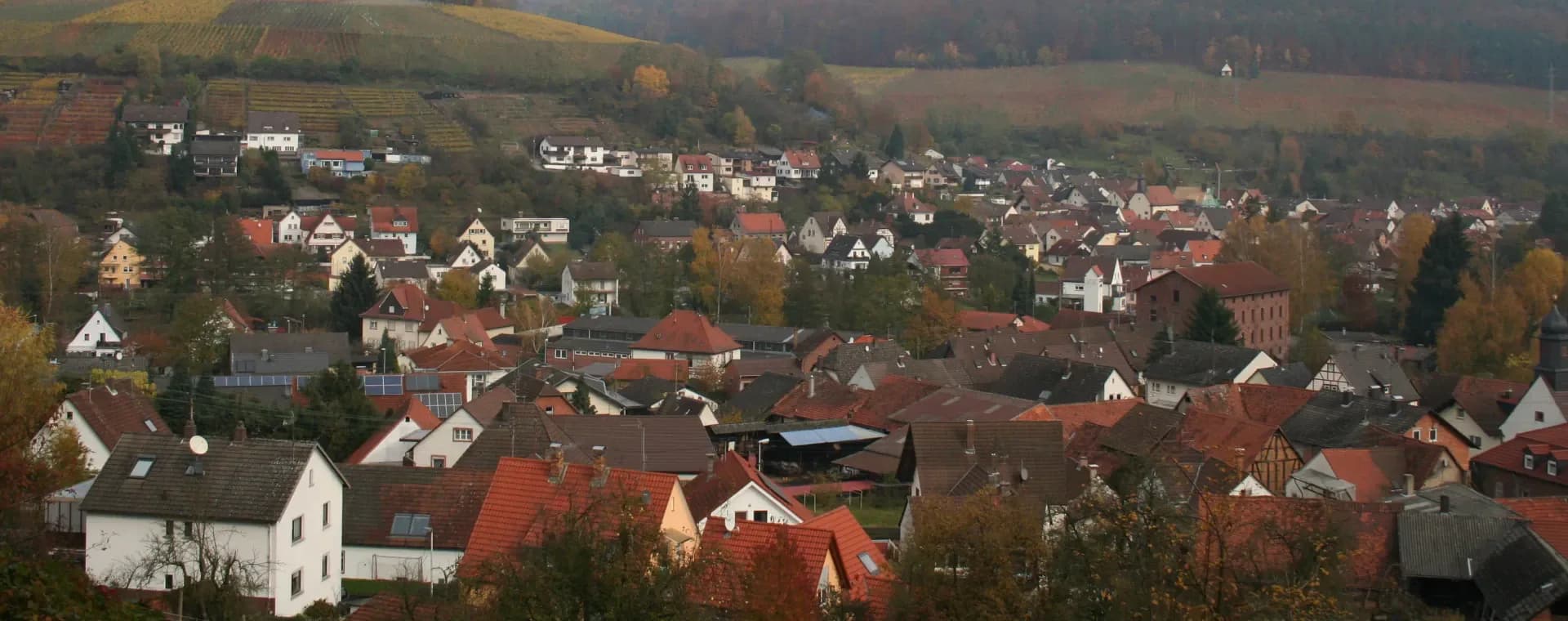 Blick über die Elsenfelder Ortsteile Schippach und Rück