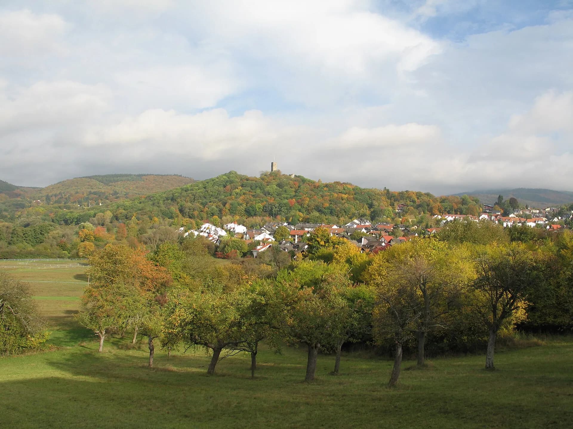Blick über Streuobstwiesen auf Königstein im Taunus