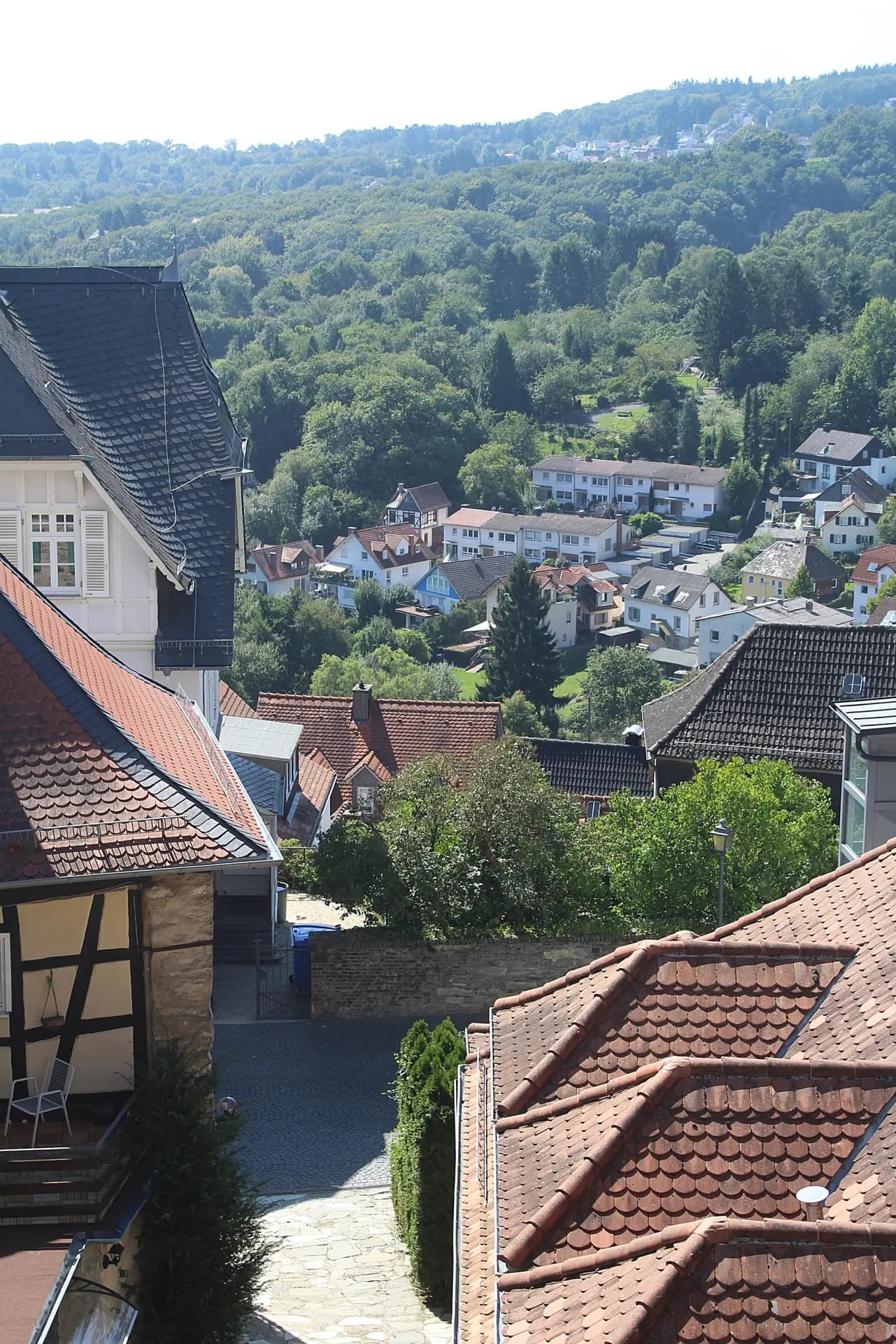Blick von der Burg Kronberg nach Südwesten über die Dächer