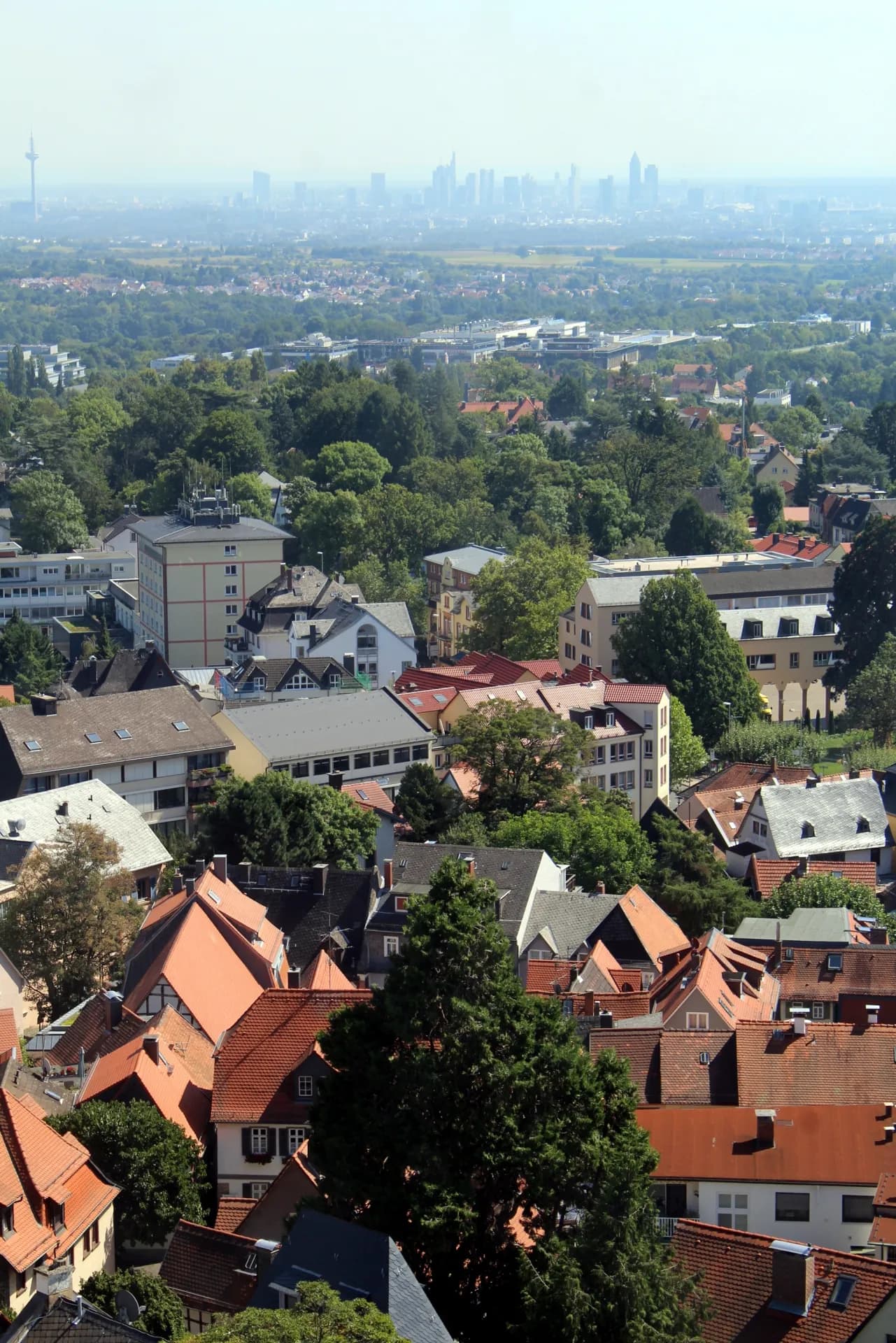 Blick von der Burg Kronberg zur Frankfurter Skyline