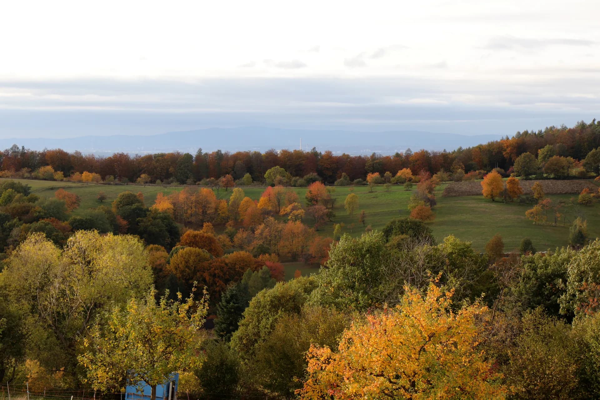 Herbstlicher Blick vom Ortsteil Rückersbach zum Großen Feldberg