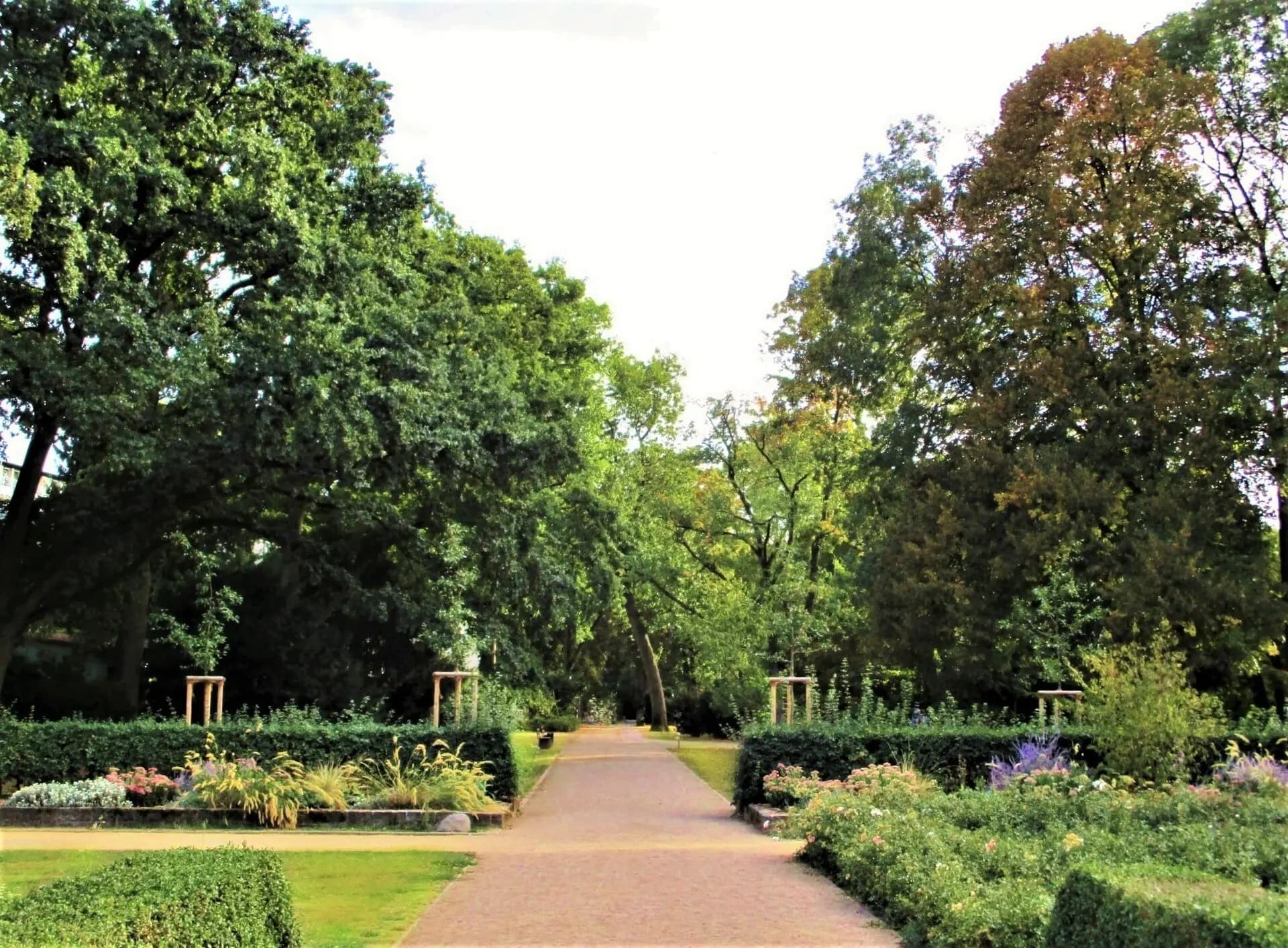 Rosengarten im Brentanopark in Frankfurt Rödelheim