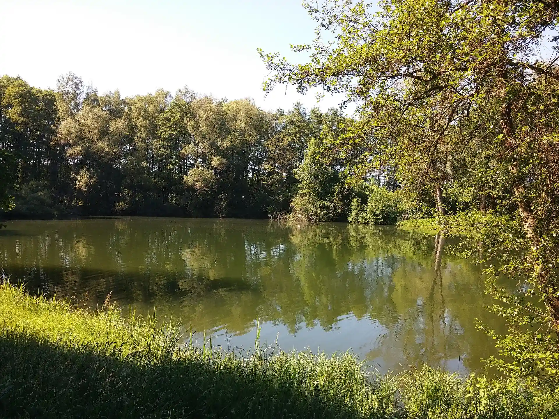 Bruchsee in Egelsbach
