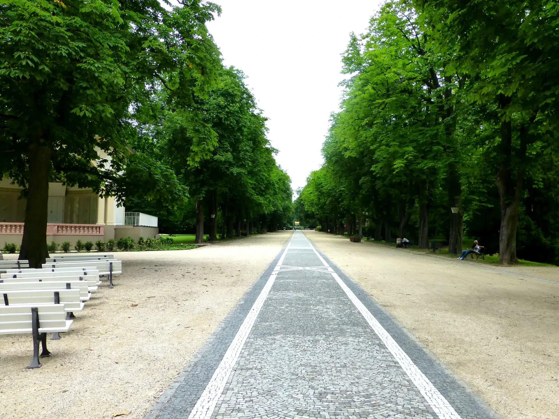 Kastanienallee Brunnenallee im Kurpark Bad Homburg
