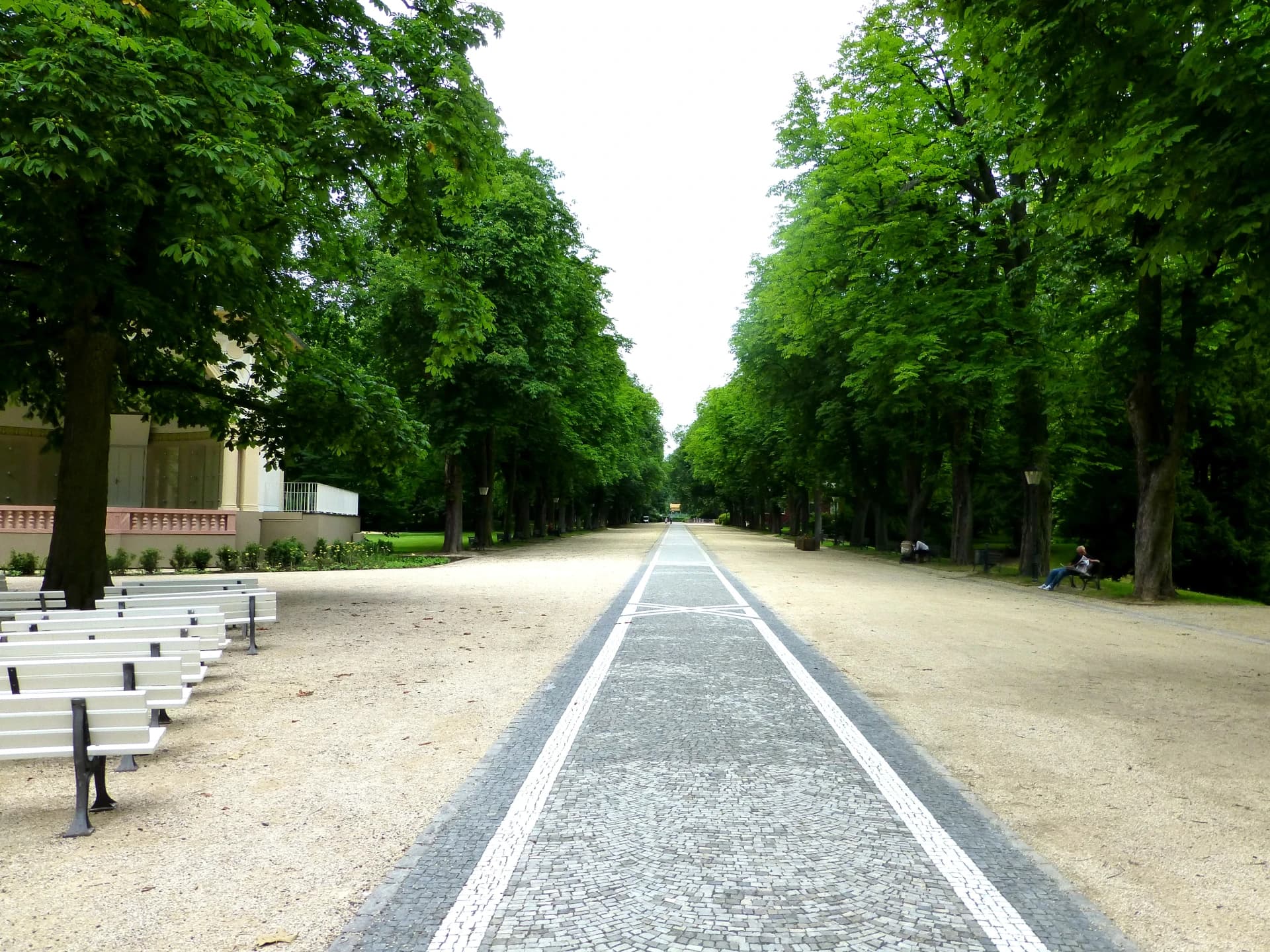 Kastanienallee Brunnenallee im Kurpark Bad Homburg