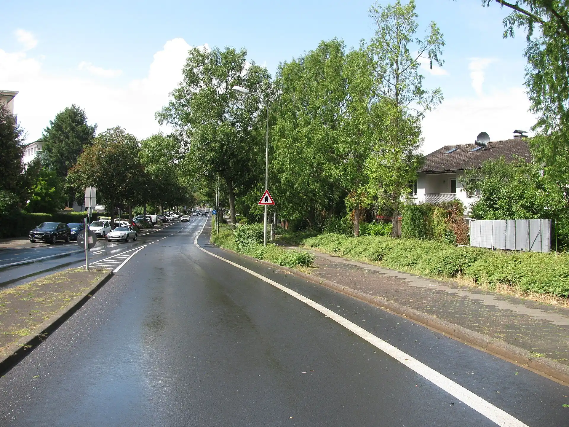 Baumbestandene Buchhügelallee in Offenbach-Buchhügel