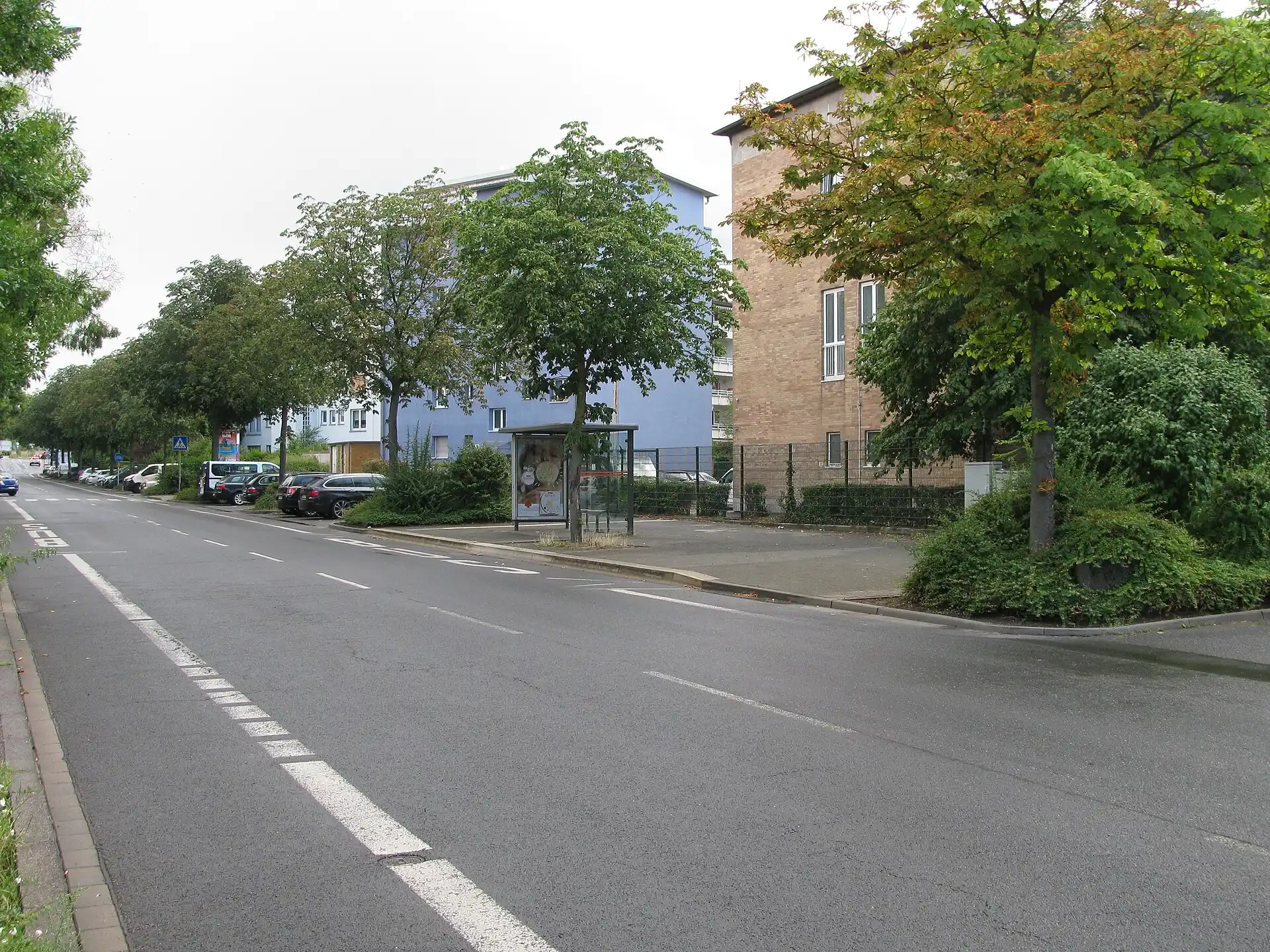 Straßenzug der Buchhügelallee in Offenbach-Buchhügel