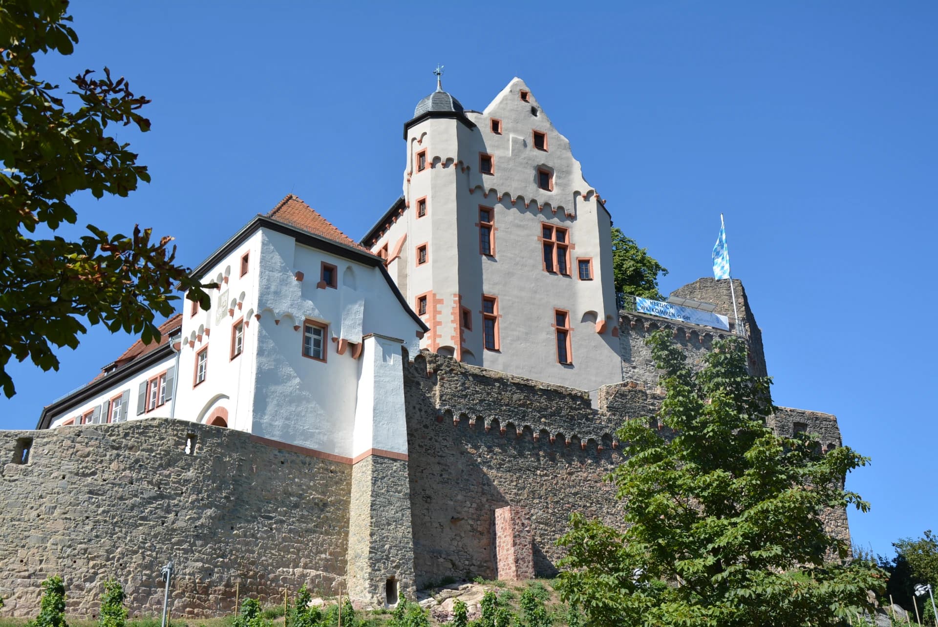Burg Alzenau mit Bergfried über der Ringmauer