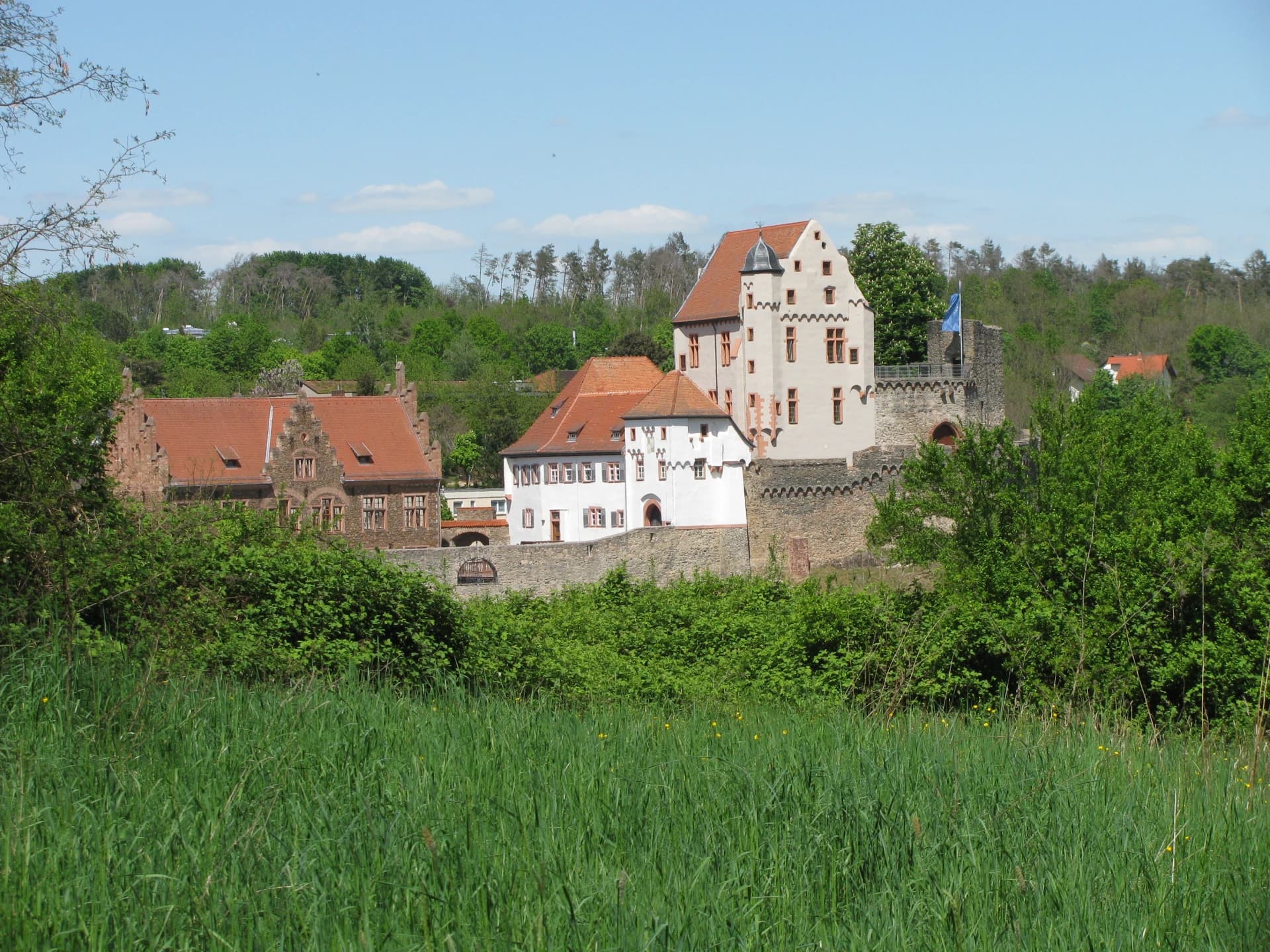 Fernblick auf die Burg Alzenau über die Wiesen