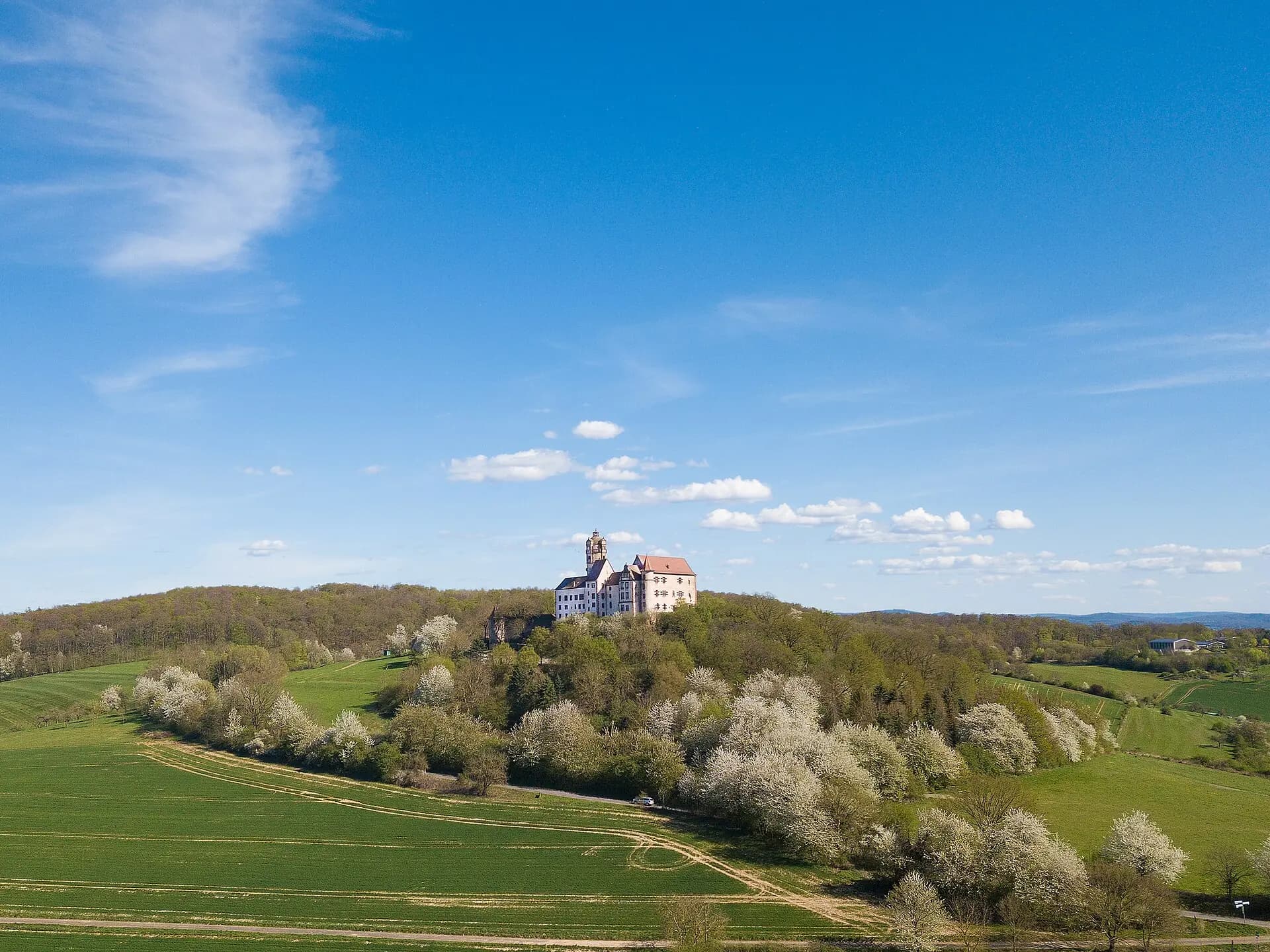 Burg Ronneburg über der blühenden Feldflur