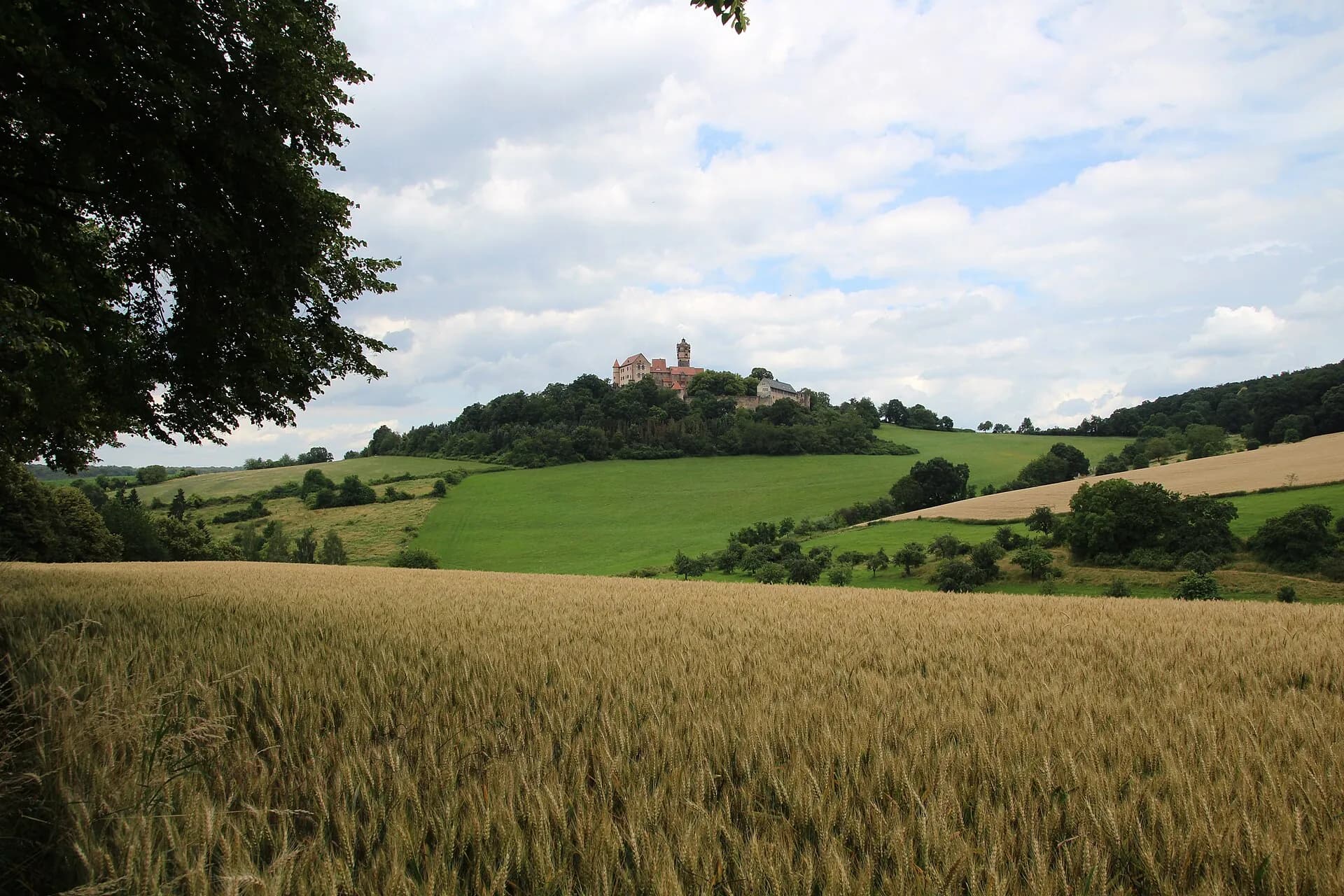 Burg Ronneburg über dem Kornfeld