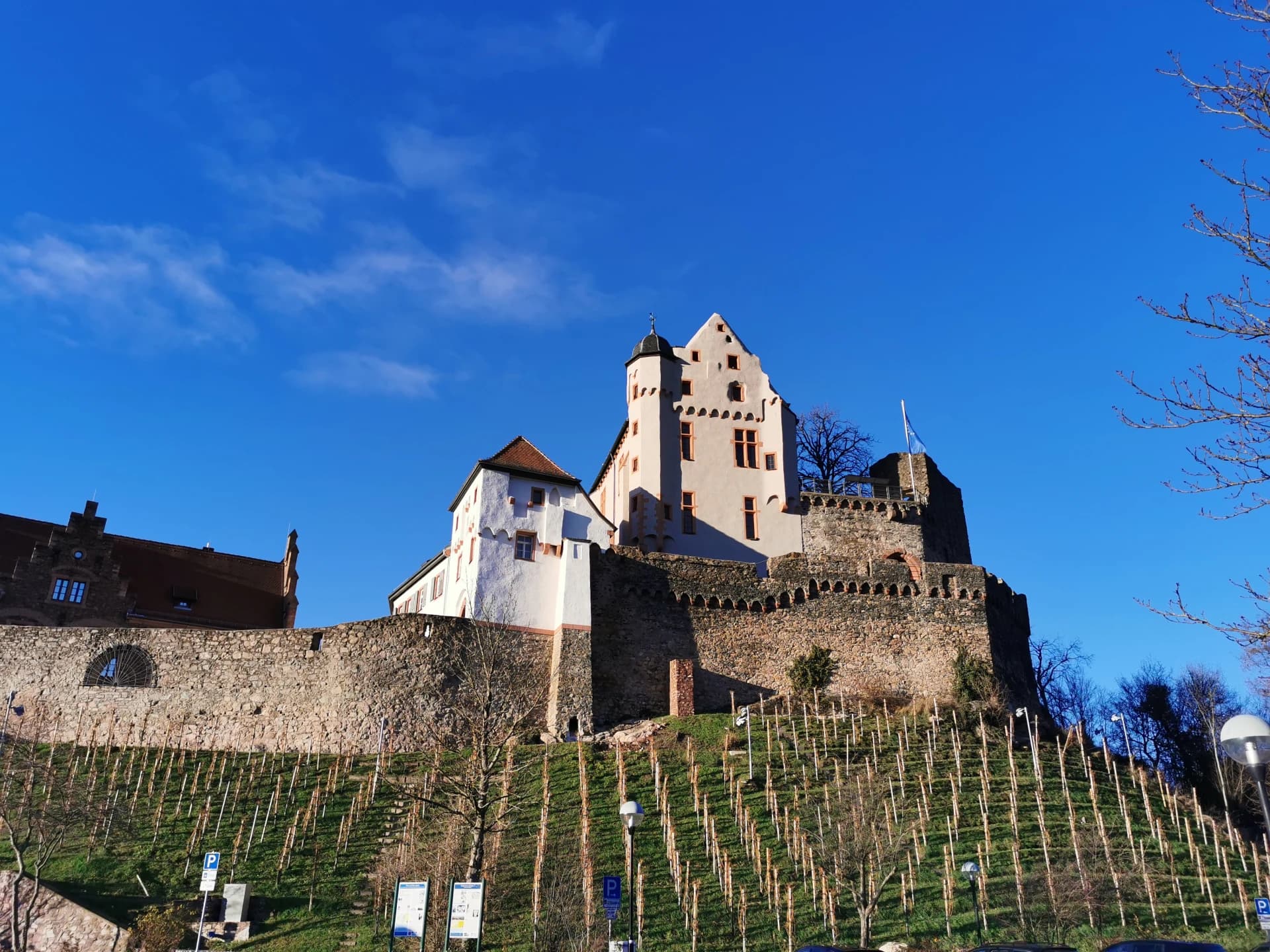 Burg Alzenau über dem winterlichen Weinberg