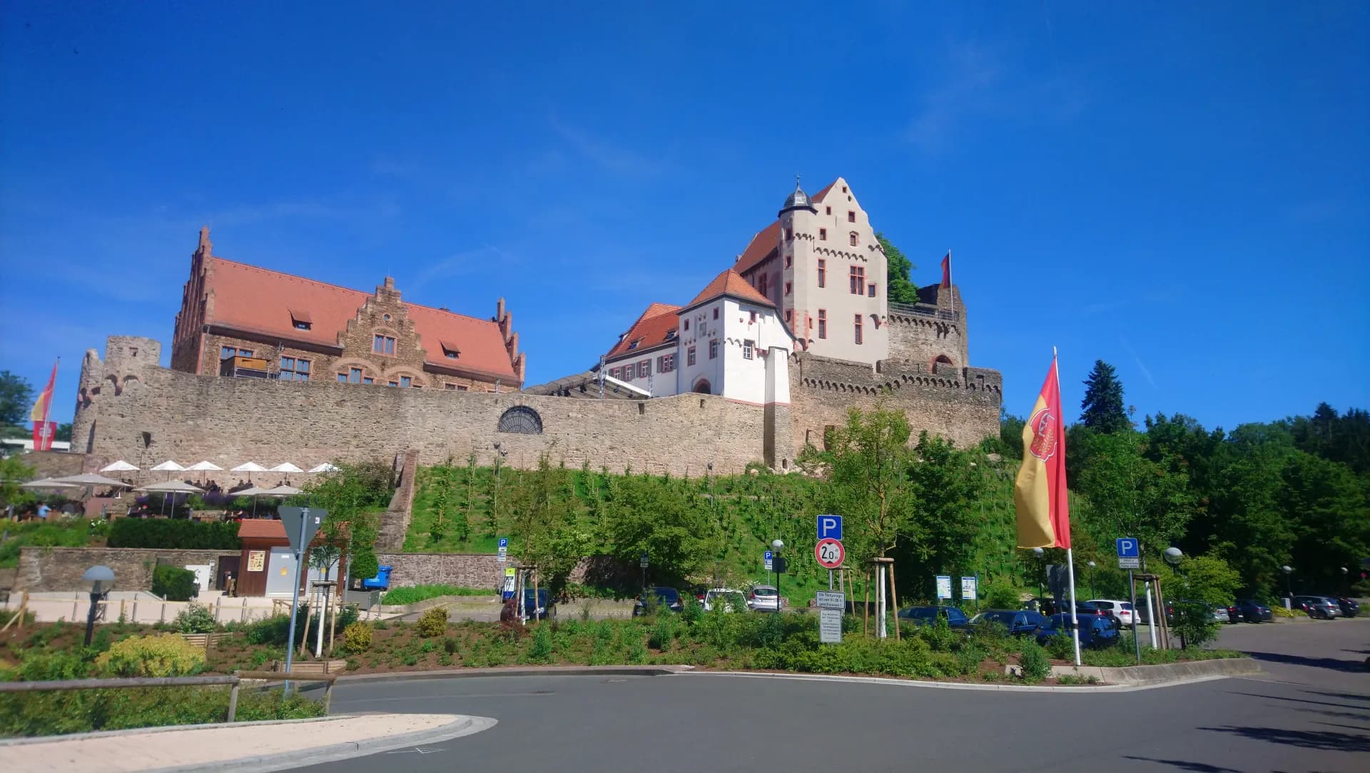 Burg Alzenau mit Burgmauer und Weinberg