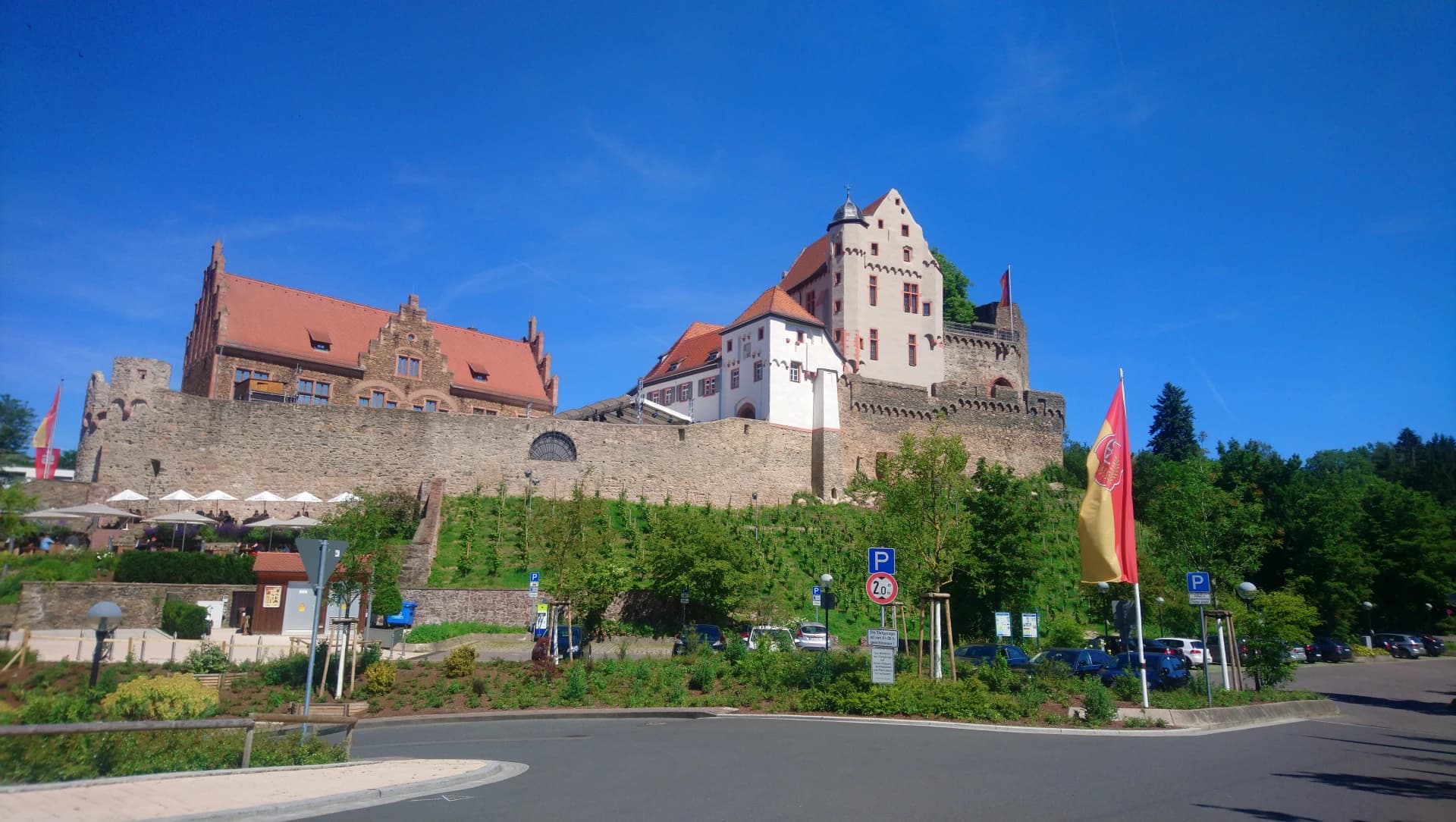 Burg Alzenau mit Burgmauer und Weinberg