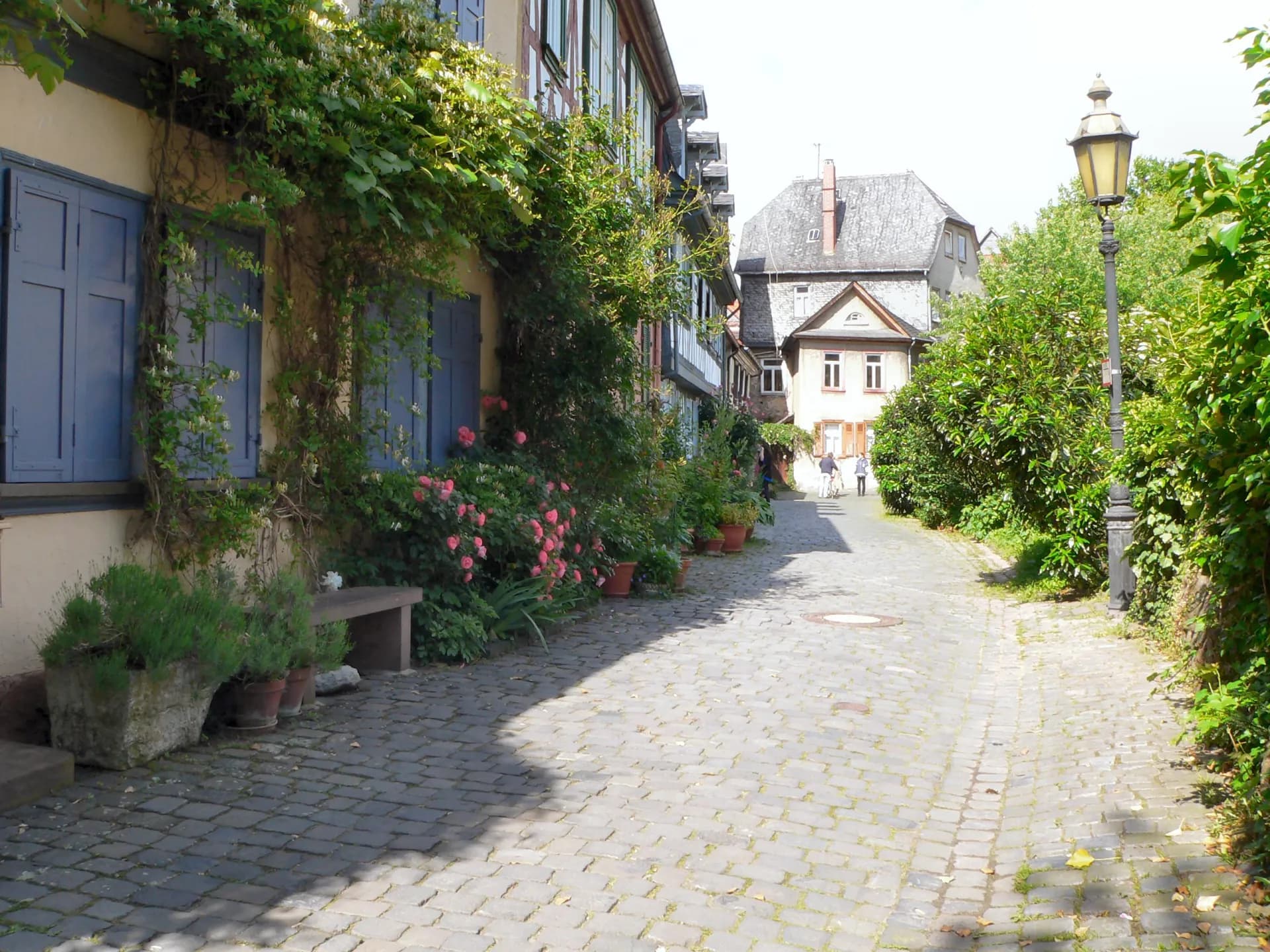 Begrünte Gasse am Burggraben in Frankfurt Höchst