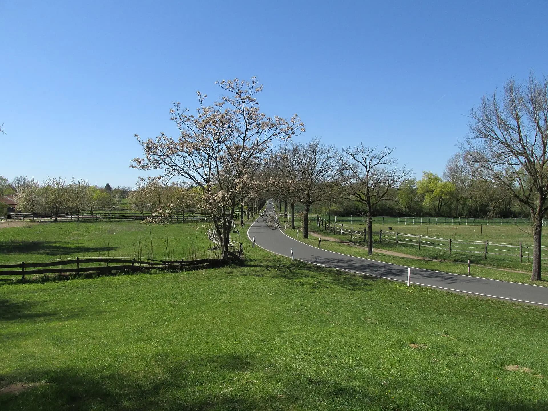 Clara-Grein-Straße am Ortsrand von Offenbach-Rumpenheim