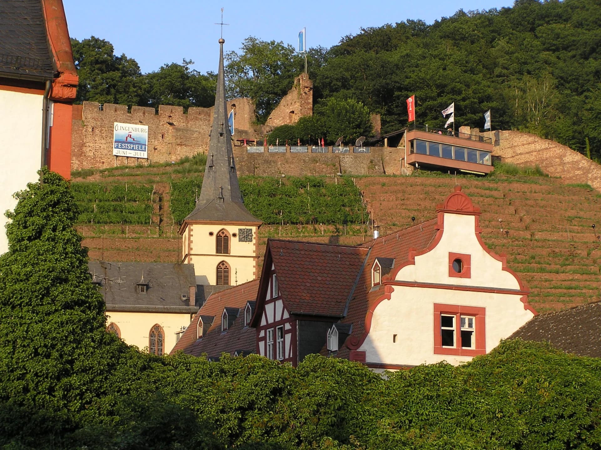 Burgruine Clingenburg über den Weinbergen in Klingenberg am Main