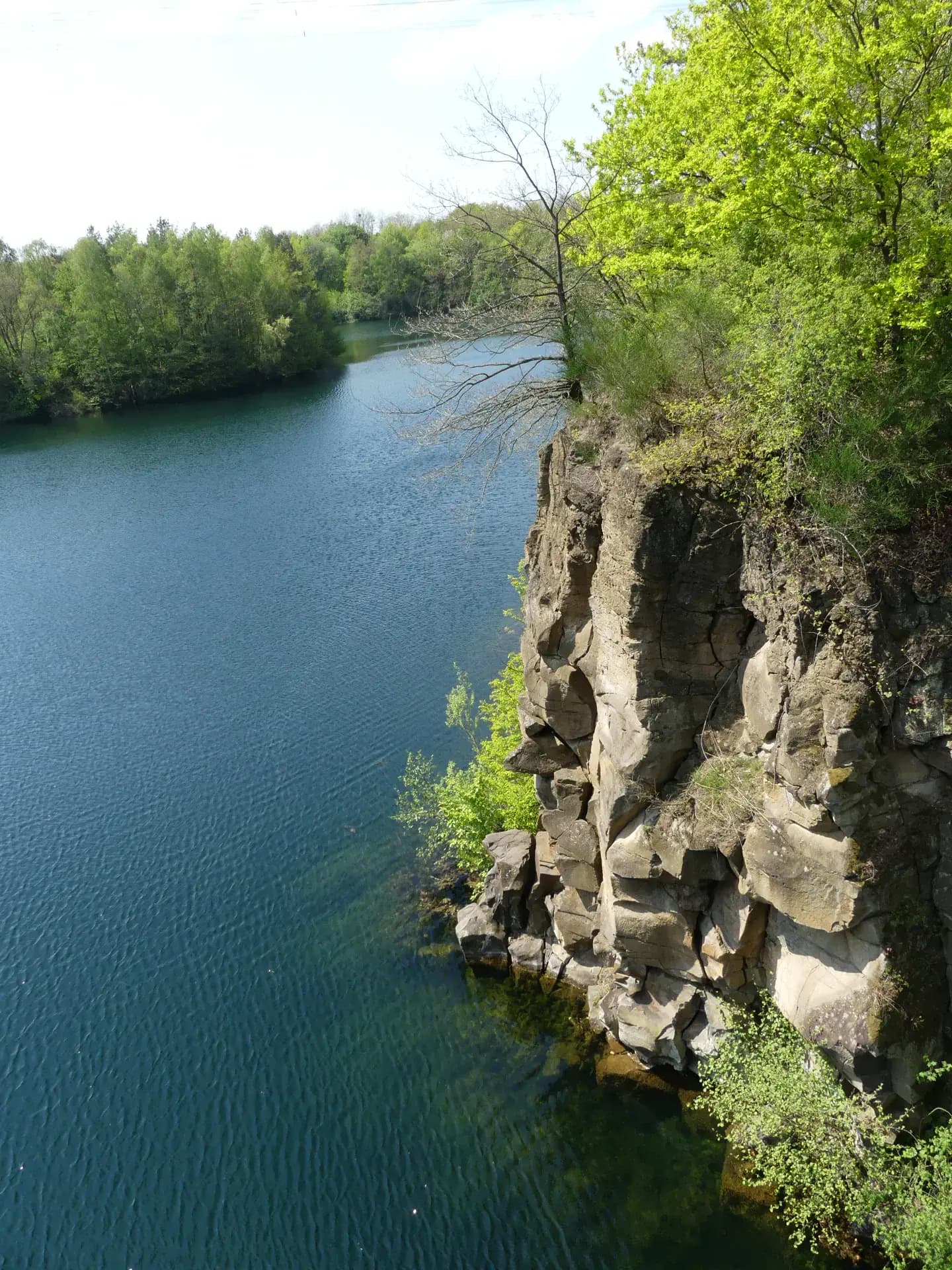Basaltfelswand über dem Steinbruchsee in Dietesheim in Mühlheim am Main