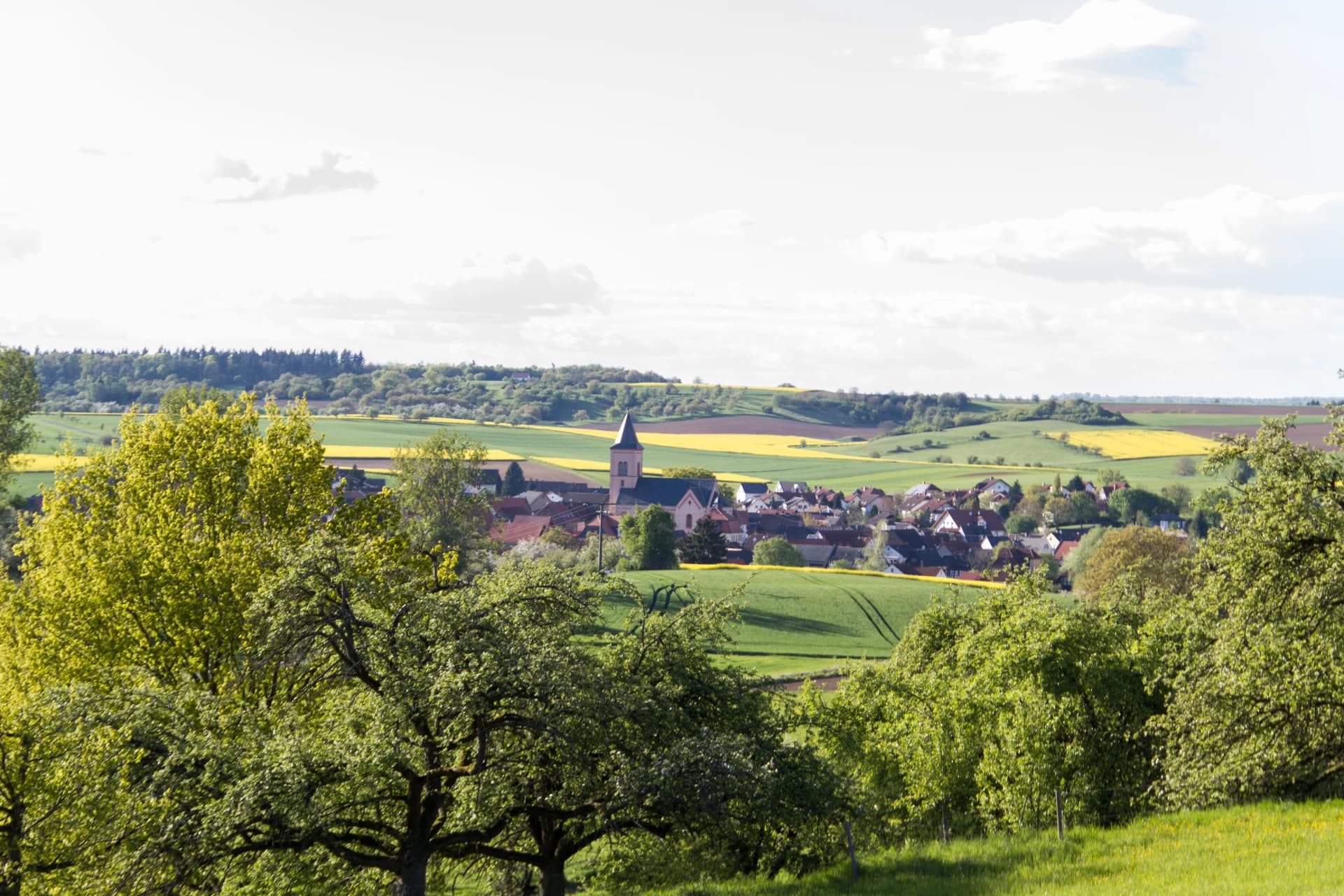 Ortsansicht von Büdingen-Eckartshausen