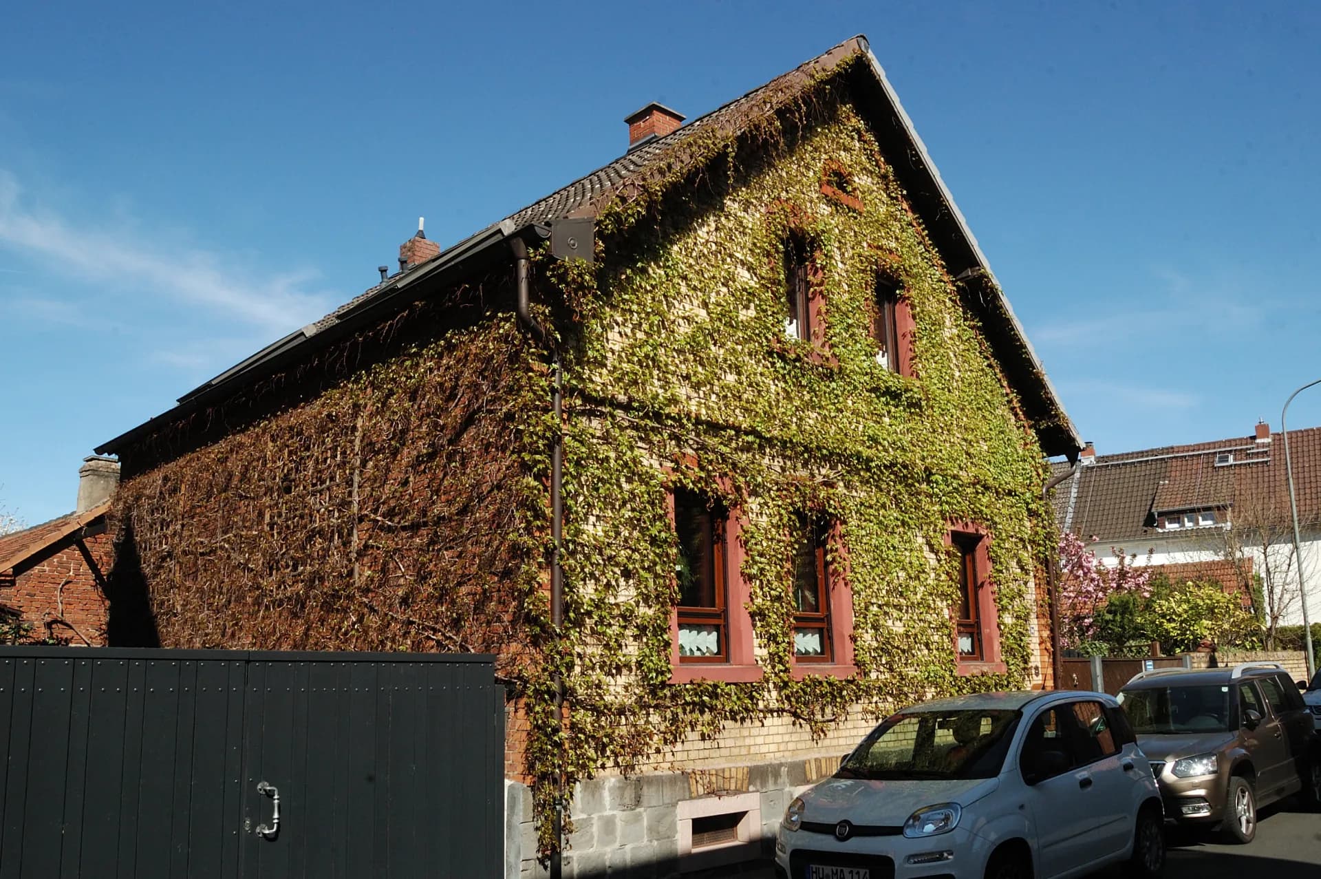 Efeubewachsenes Wohnhaus in der Schillerstraße in Hanau-Klein-Auheim