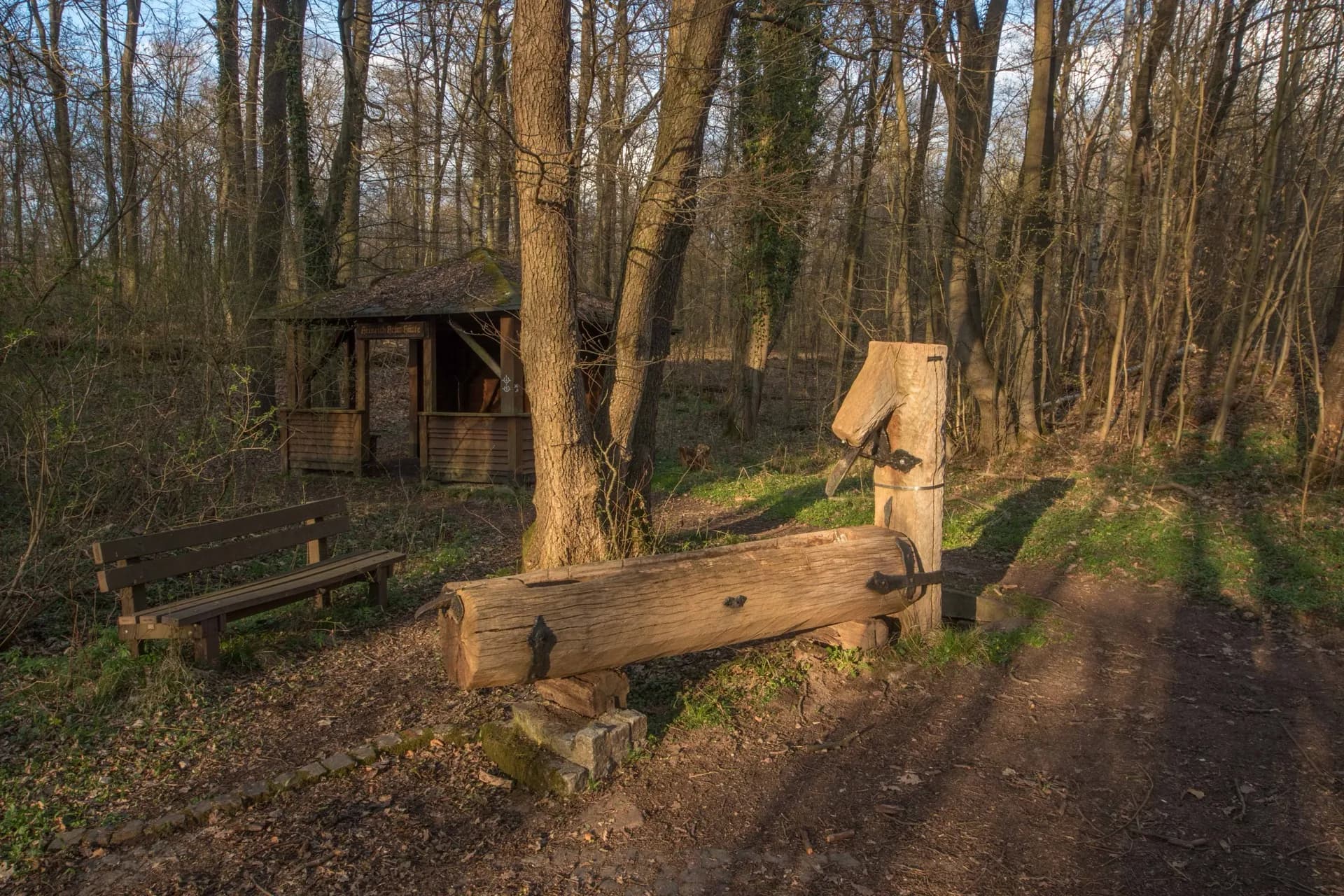 Egelswoog in Egelsbach