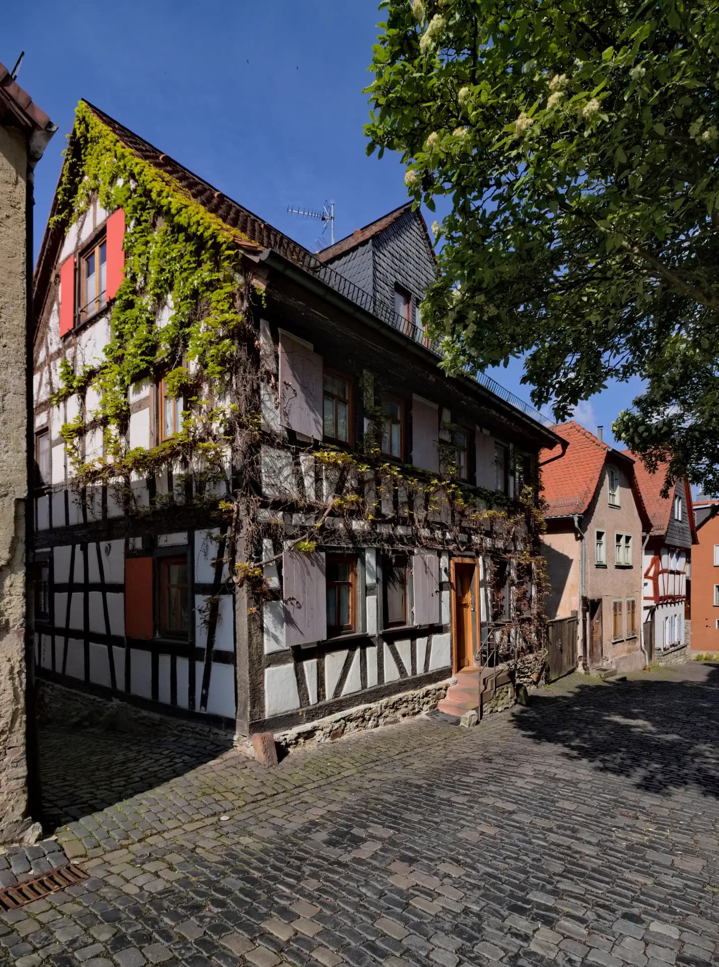 Efeubewachsenes Fachwerkhaus Steinstraße 17 in Kronberg im Taunus