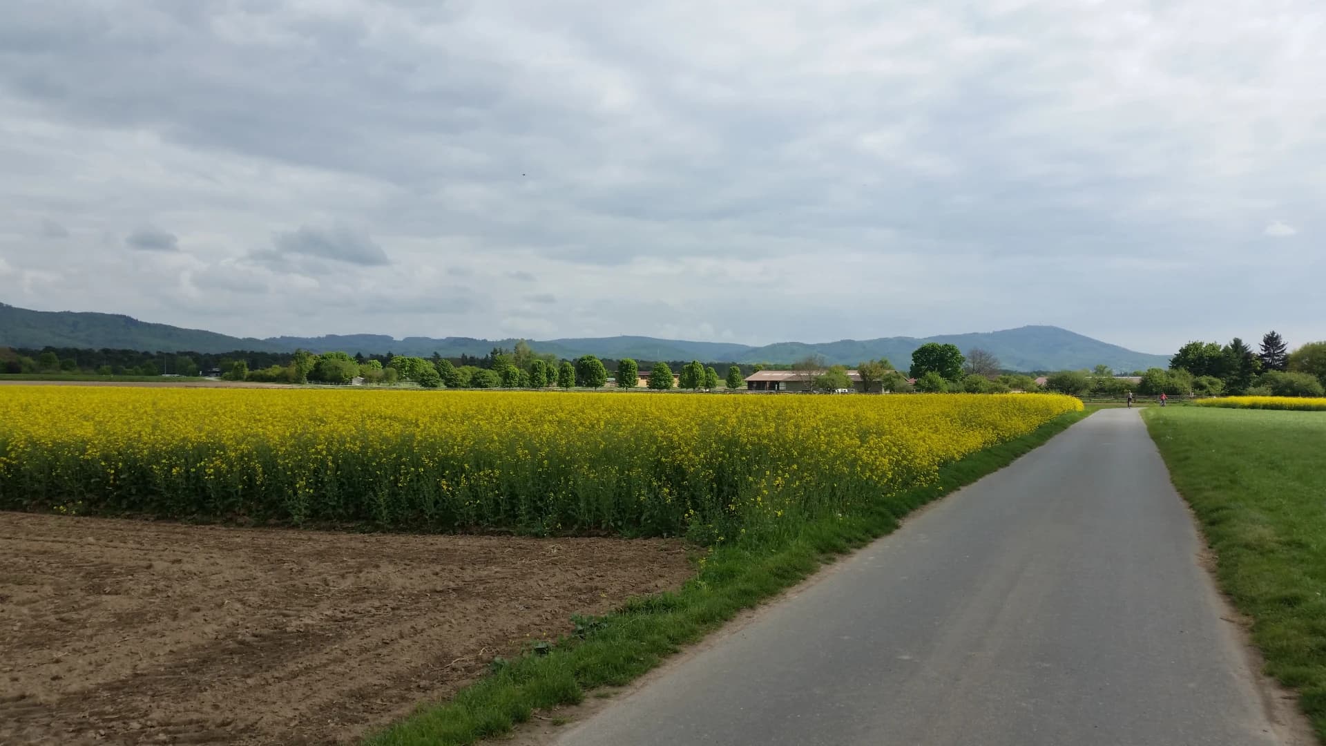 Felder bei Pfungstadt am Rand des Odenwalds