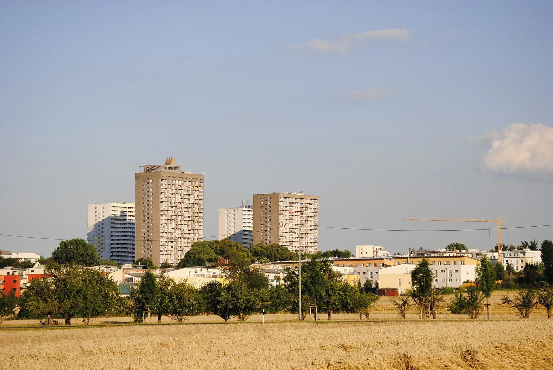 Felder am Frankfurter Berg mit Wohnhochhäusern im Hintergrund