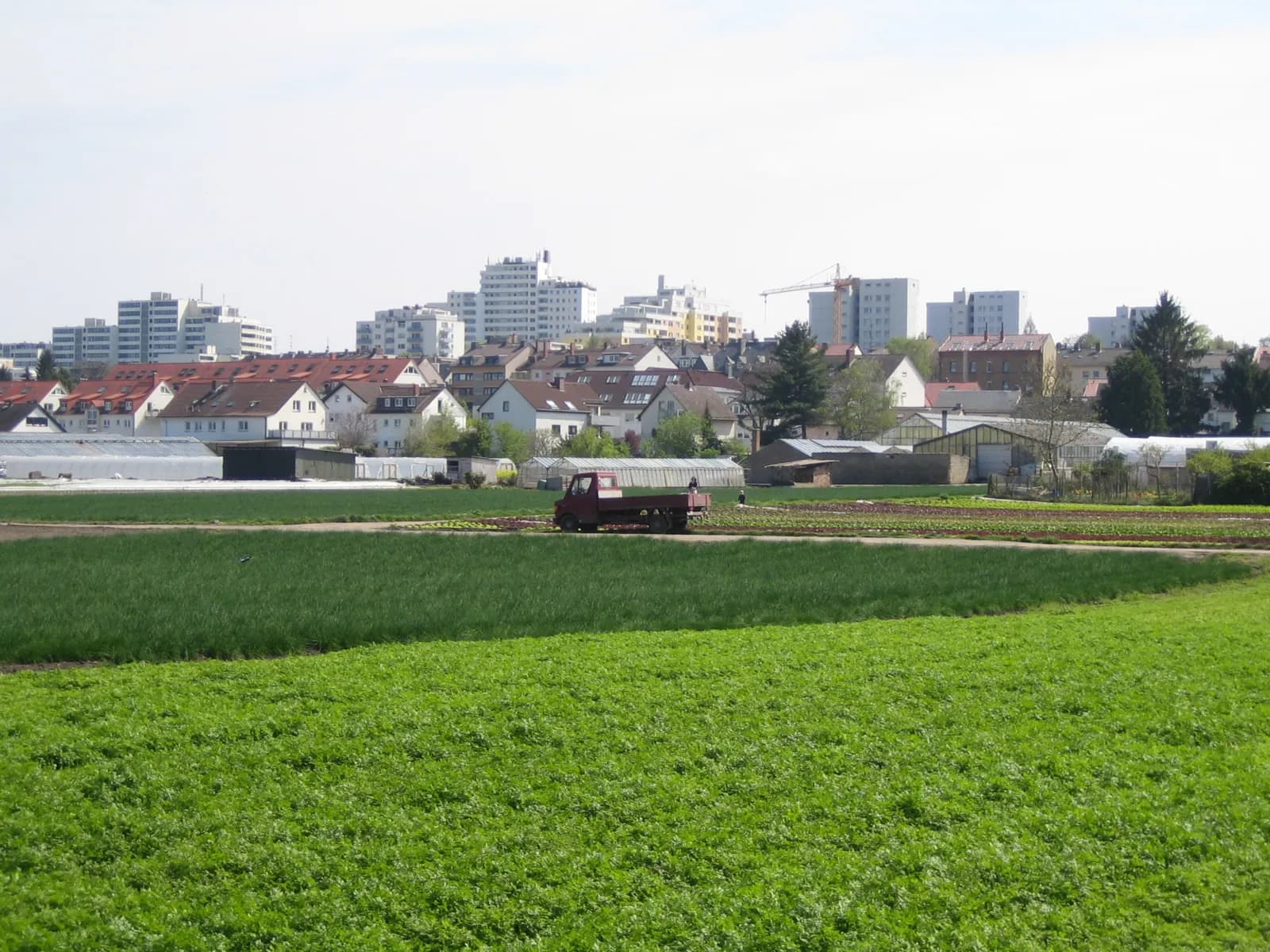 Feldflur am Ortsrand von Frankfurt-Oberrad