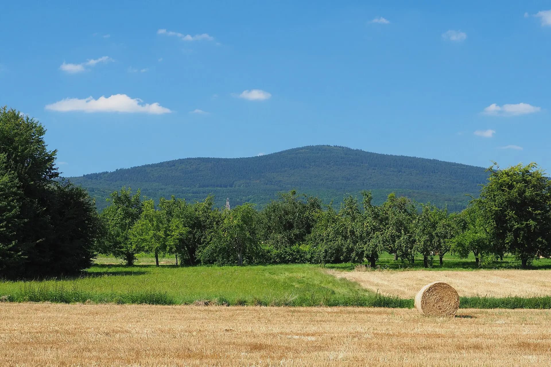 Feldflur mit Blick zum Altkönig in Schwalbach am Taunus