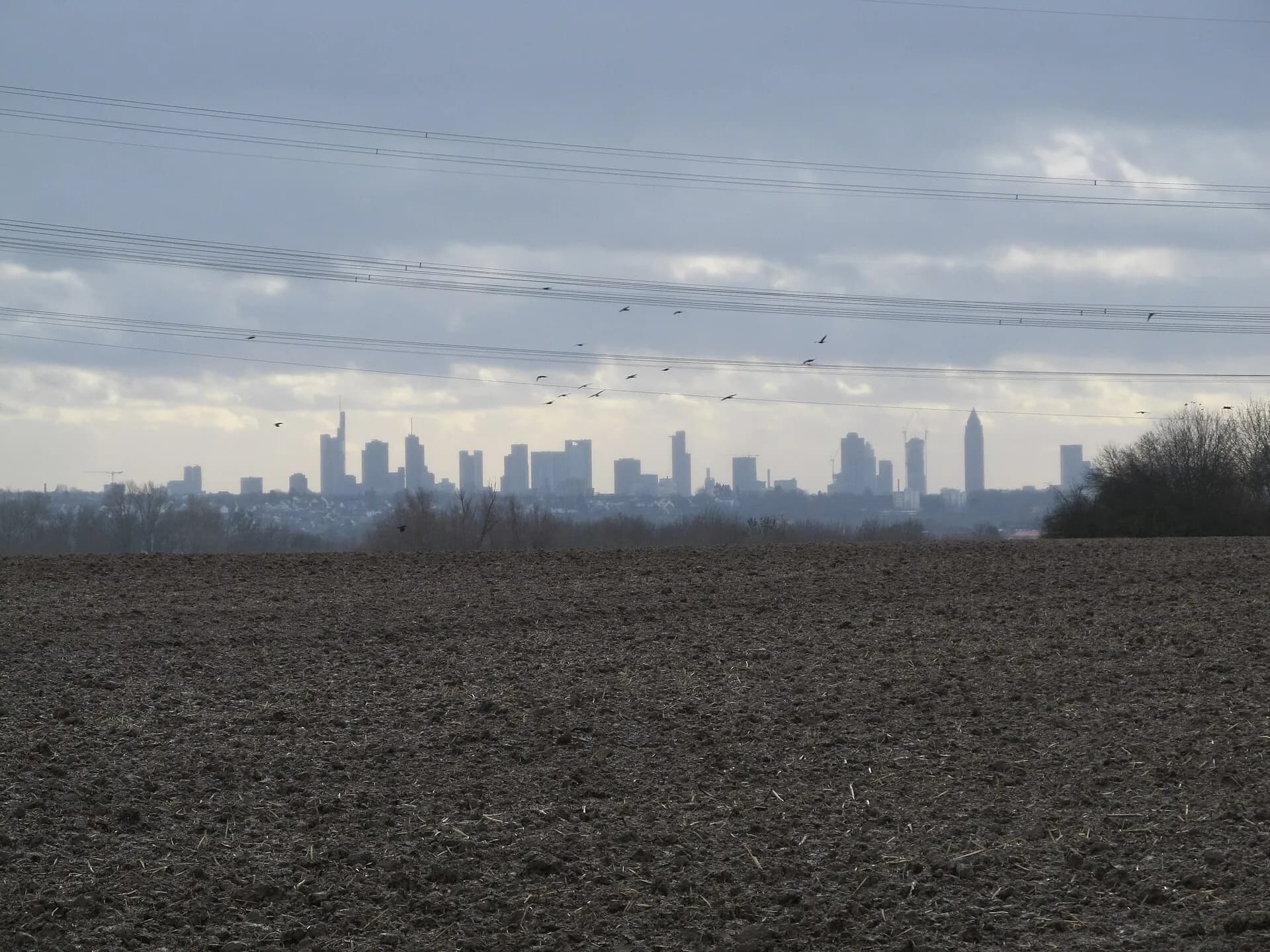 Feldmark mit Blick auf die Frankfurter Skyline bei Nieder-Erlenbach