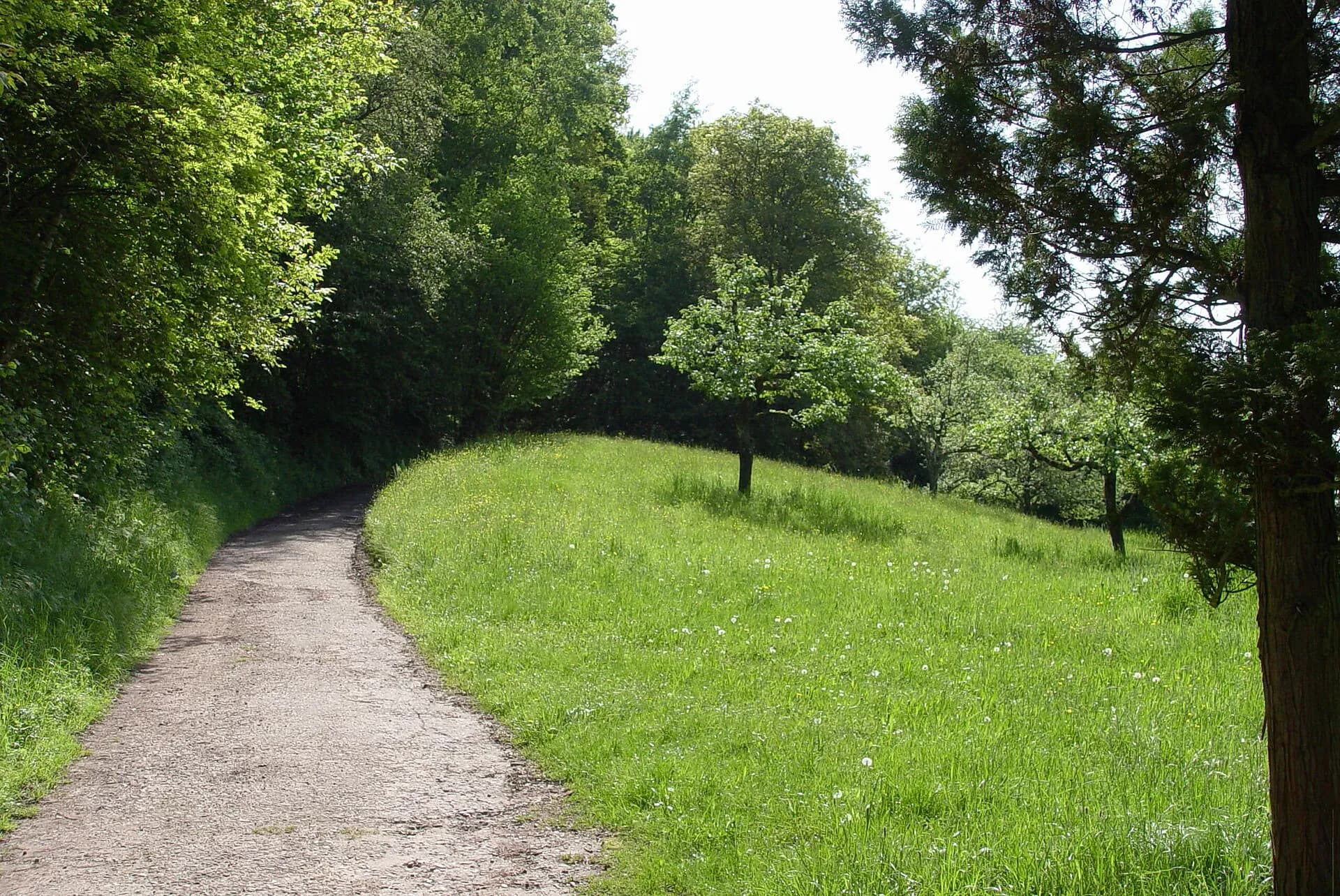Feldweg am Erbig bei Aschaffenburg-Schweinheim