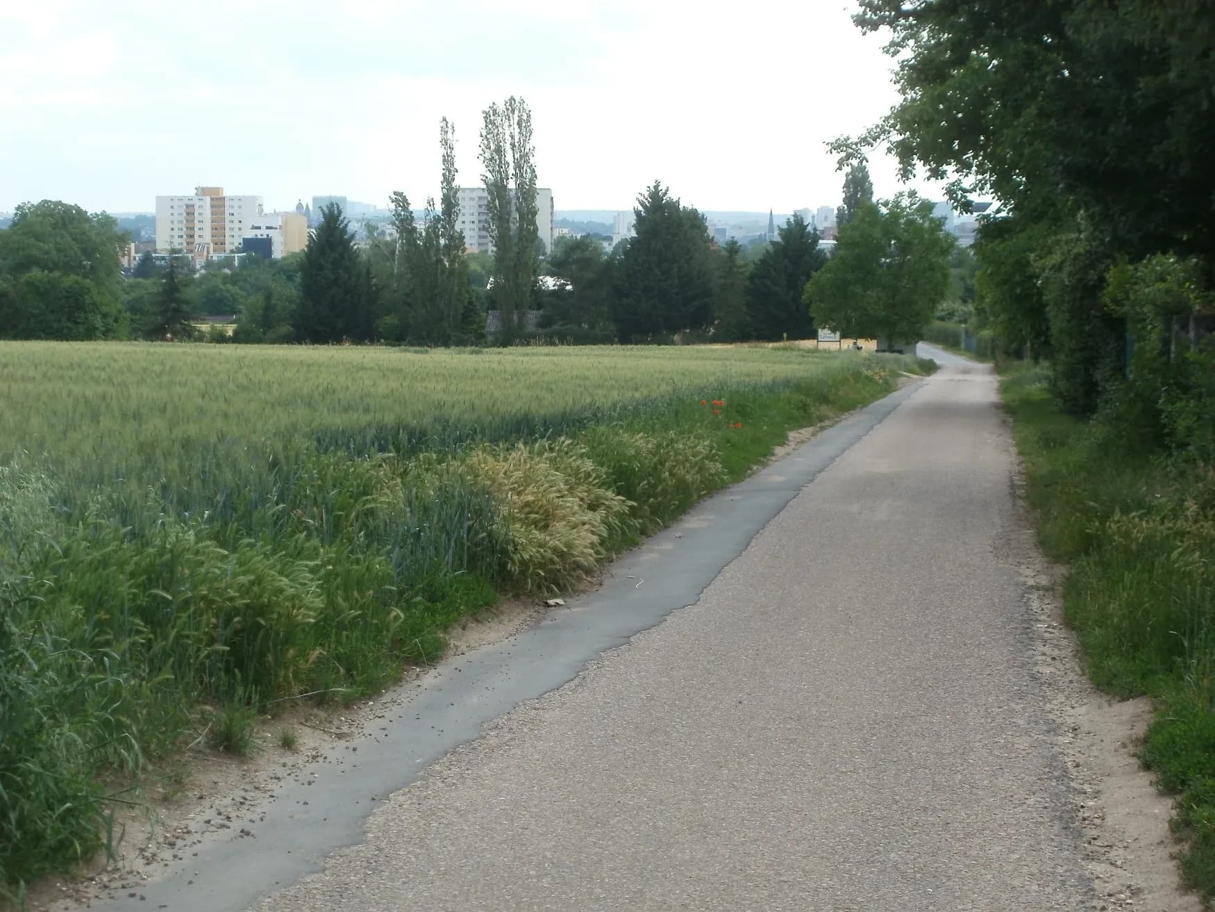 Feldweg am Ortsrand von Frankfurt-Zeilsheim