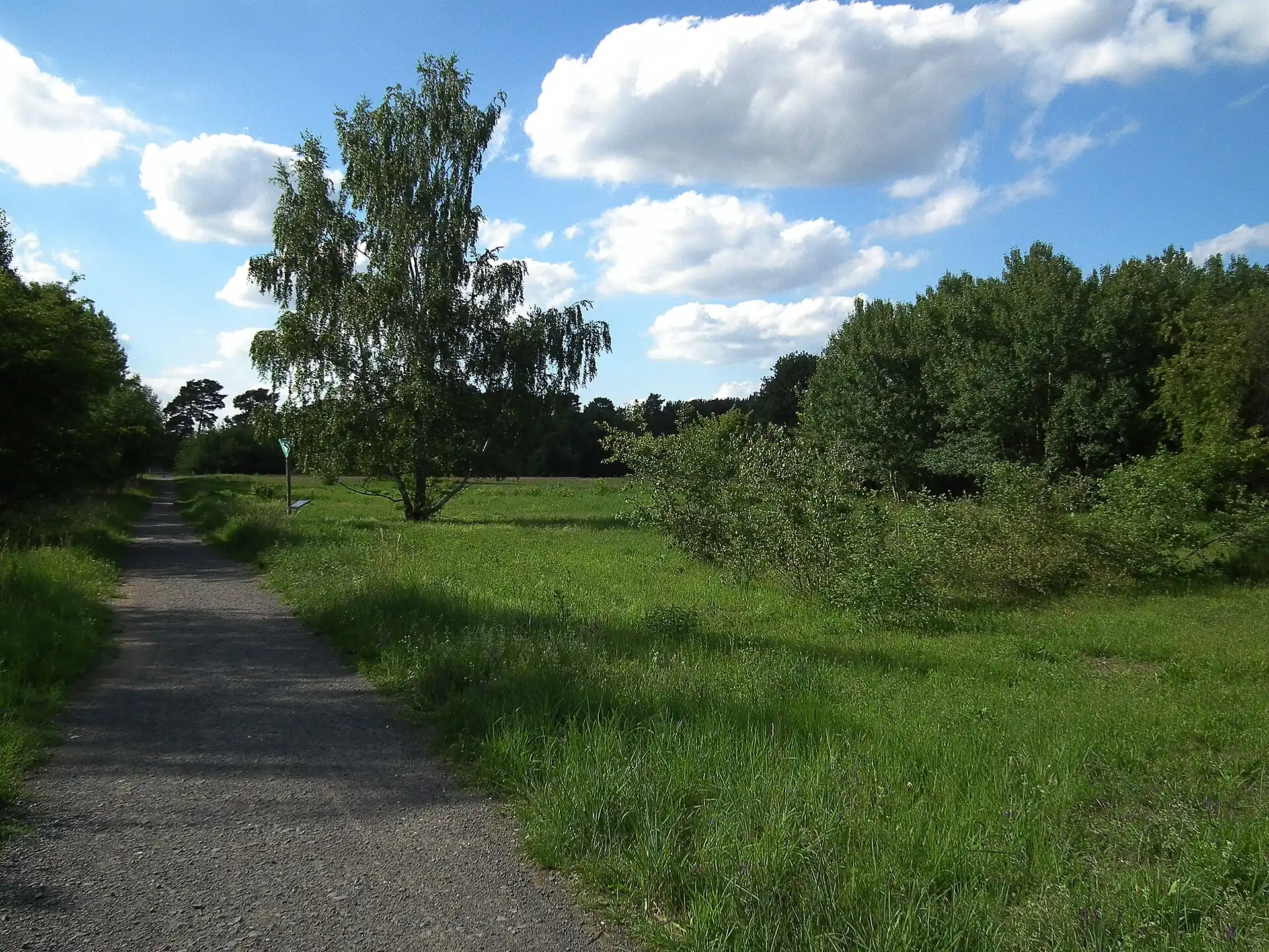 Feldweg zur Düne von Rodgau-Dudenhofen