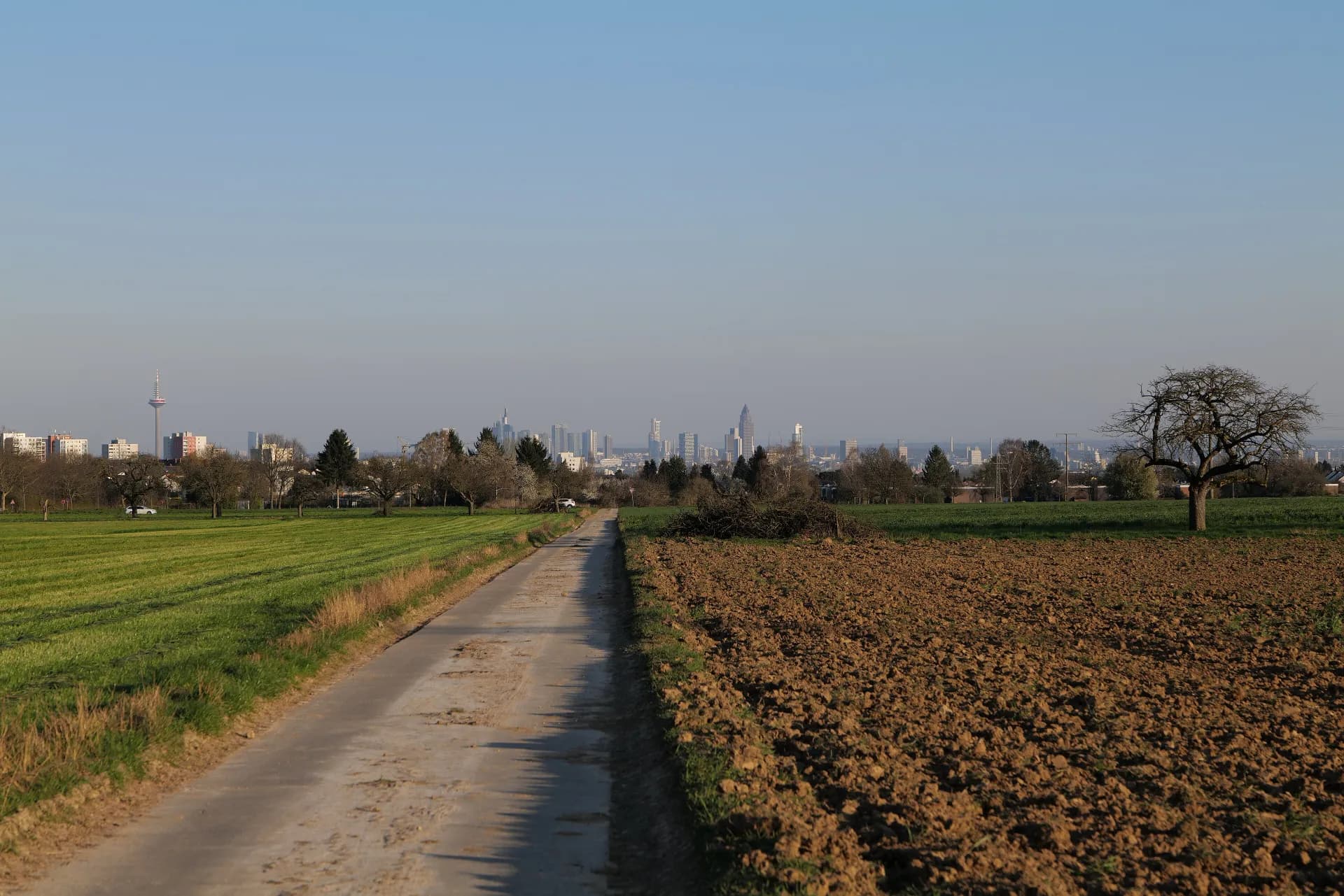 Feldweg mit Blick nach Frankfurt bei Kronberg im Taunus